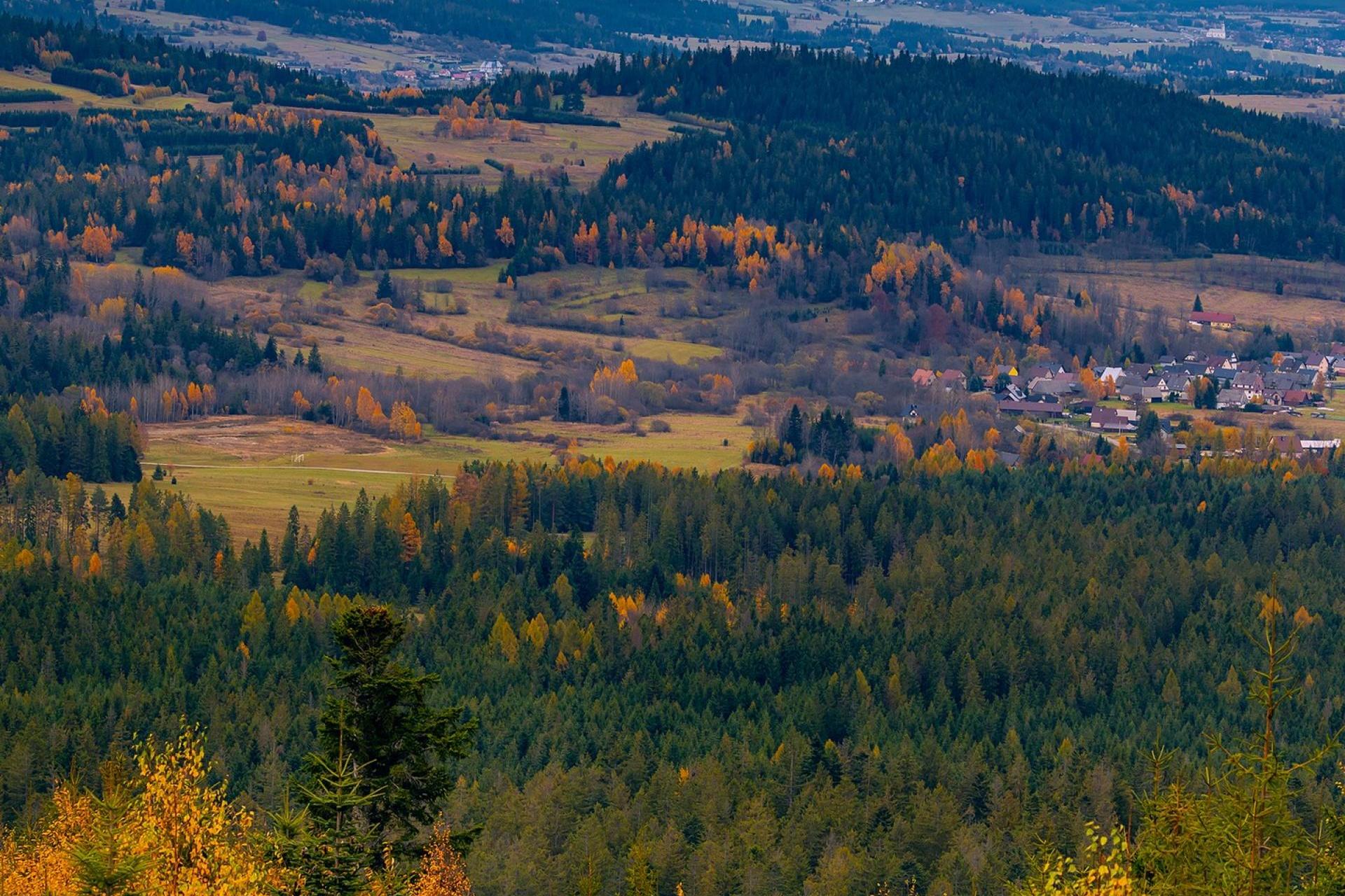 Co im wyszeptał las?