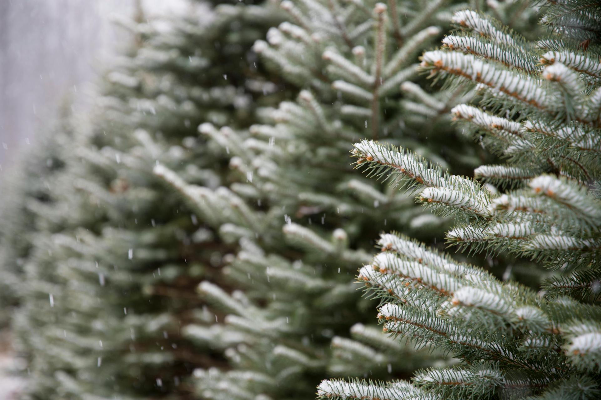 Małopolska pod znakiem zimy. Ślisko i mroźnie, szczególnie w nocy