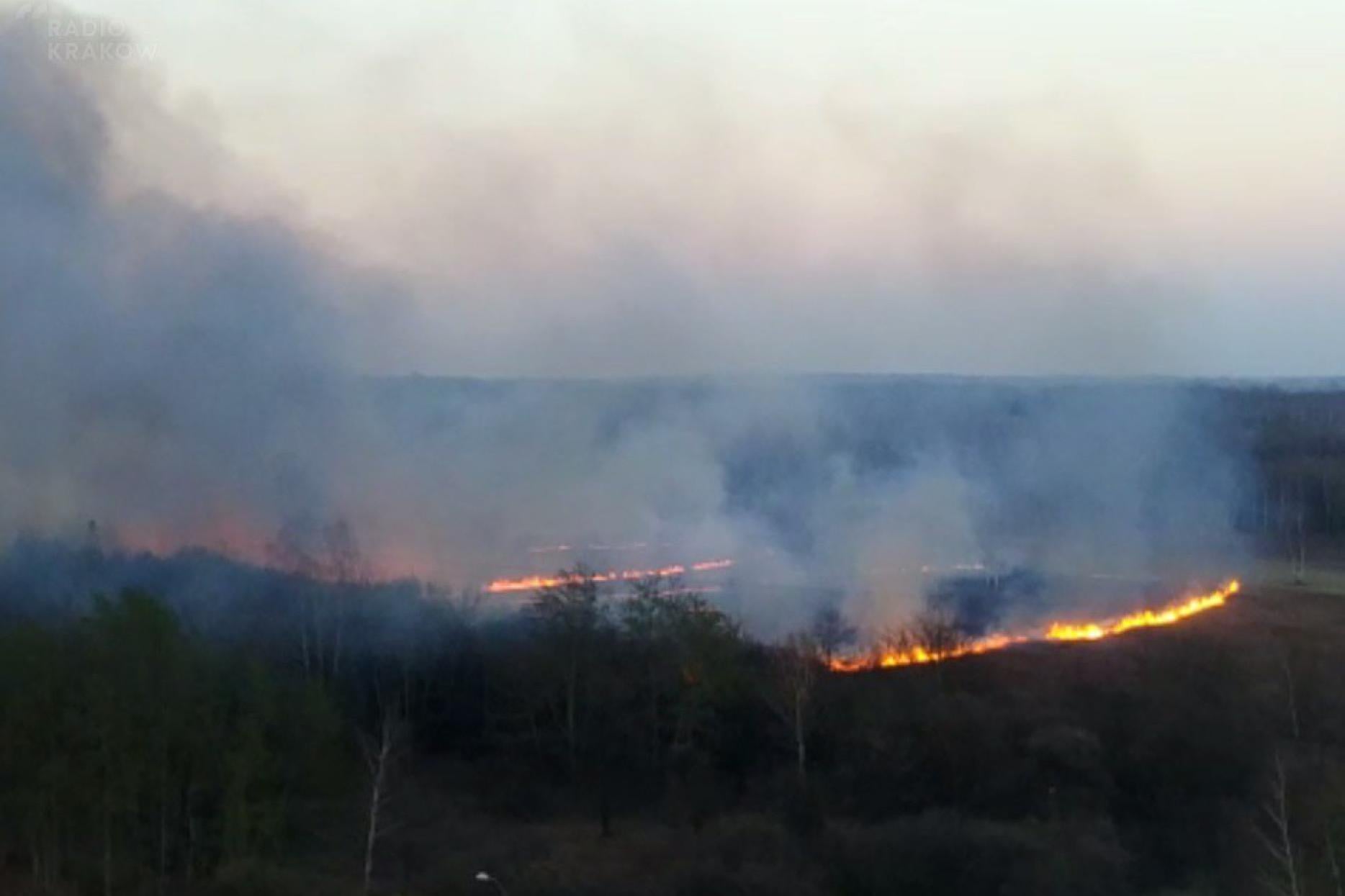 Za wypalanie traw kara będzie zdecydowanie większa. Nowelizacja weszła w życie