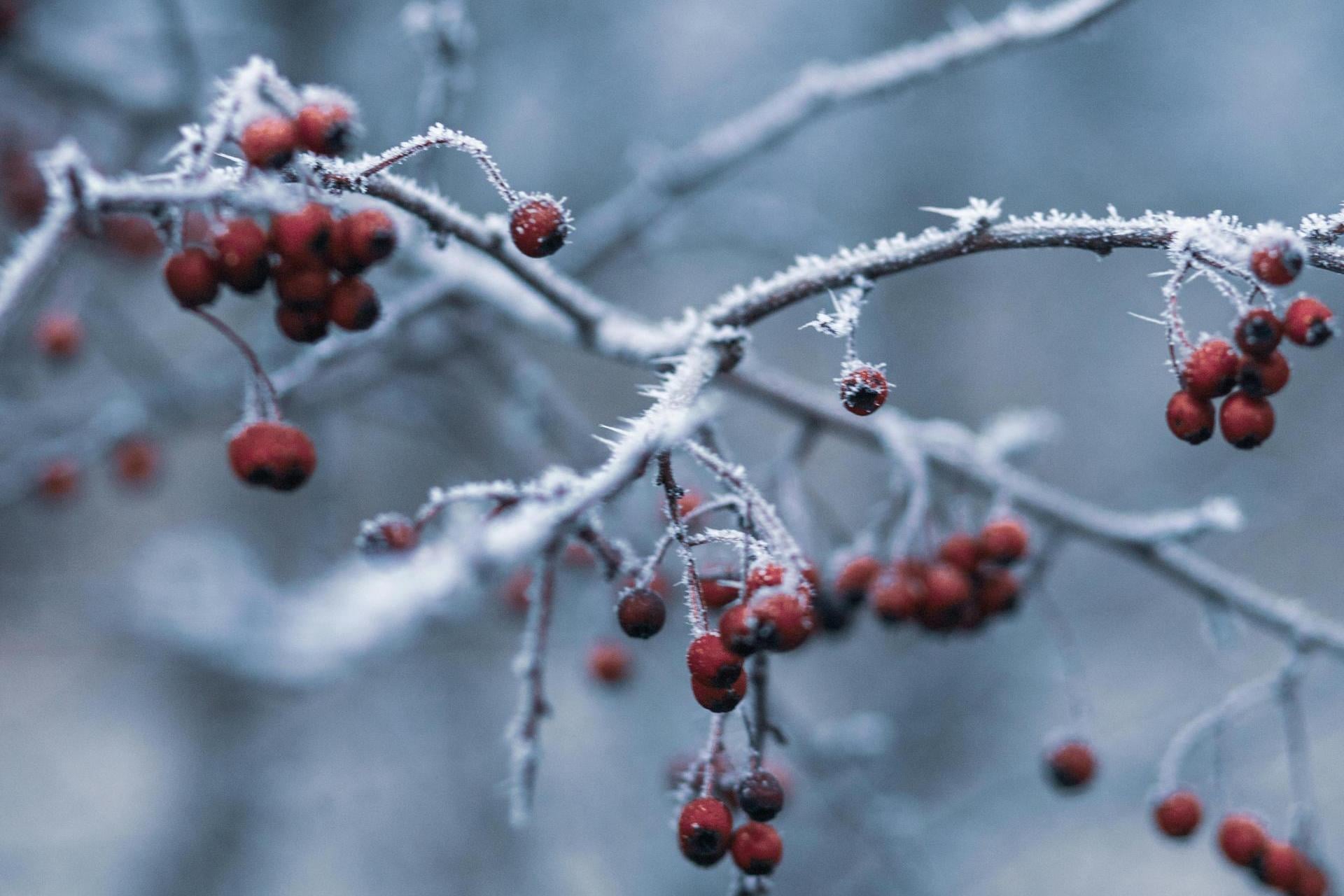 Śnieg, mróz i słońce. Zimowa aura w święto Trzech Króli
