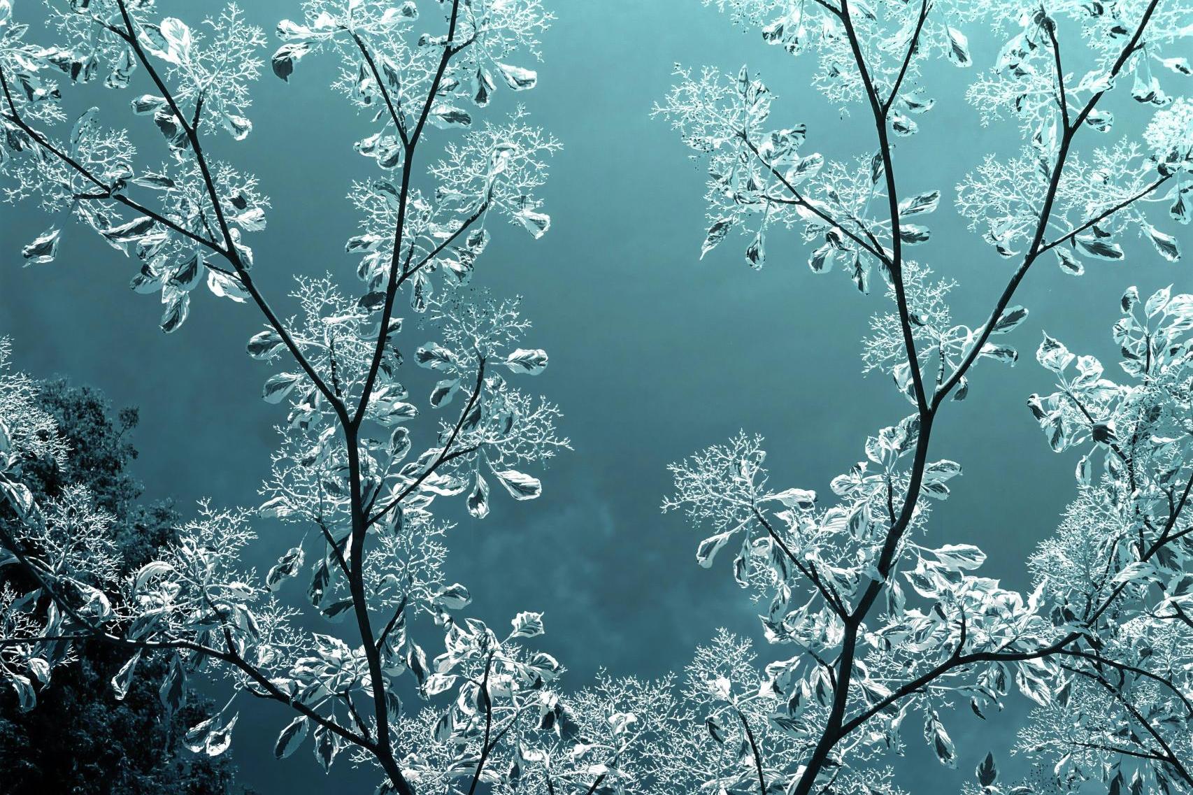 Siarczysty mróz nad Małopolską. W nocy choćby -17 stopni!