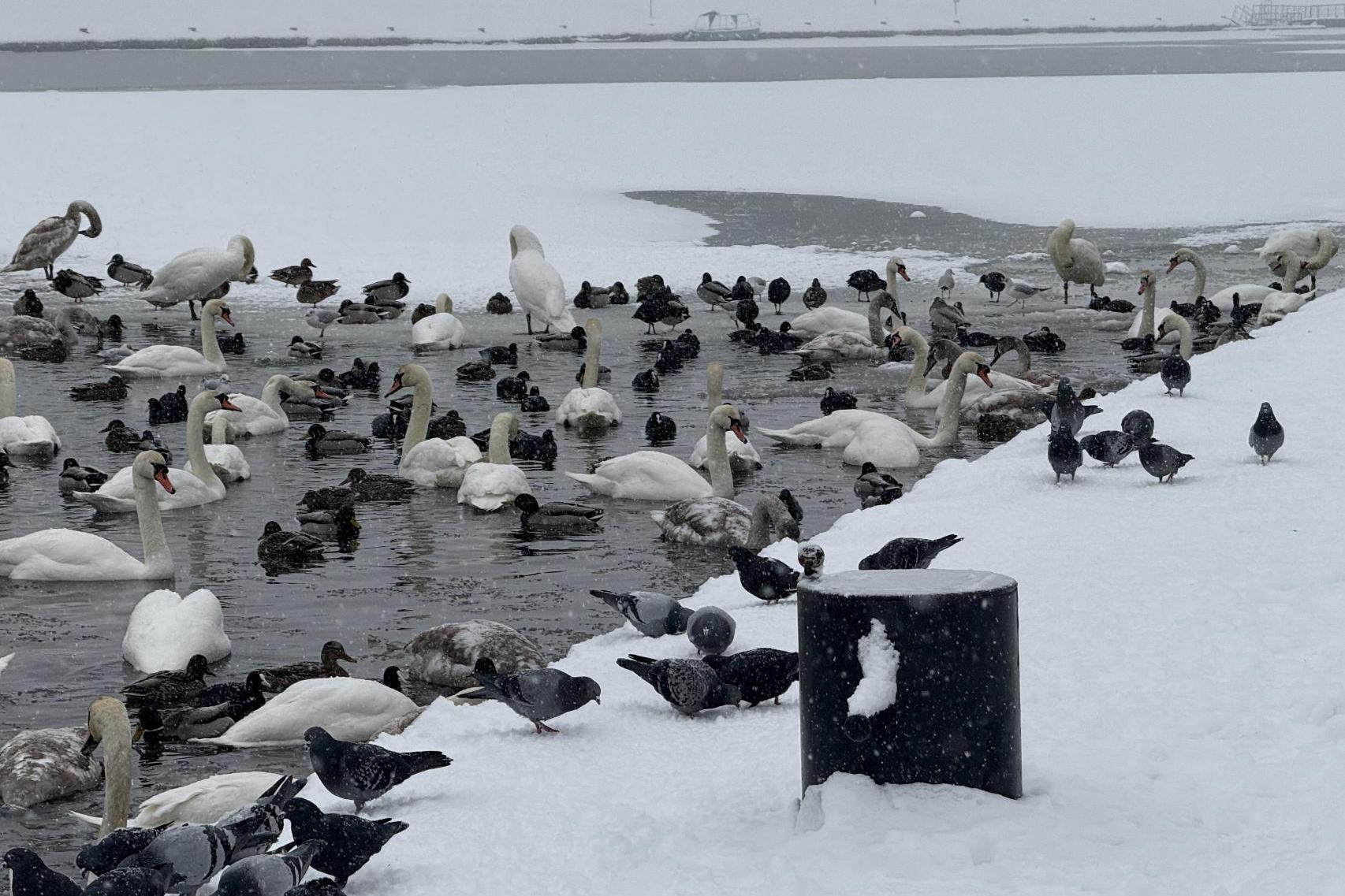 Ślisko i pochmurno w Małopolsce. Czwartek z opadami