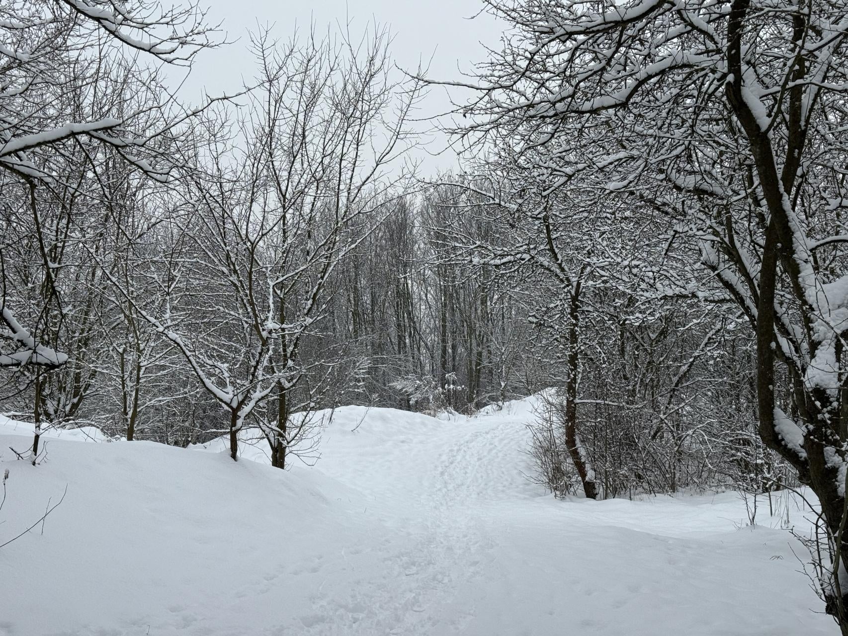 Czwartek w Małopolsce pod znakiem chmur i opadów, noc z przymrozkami