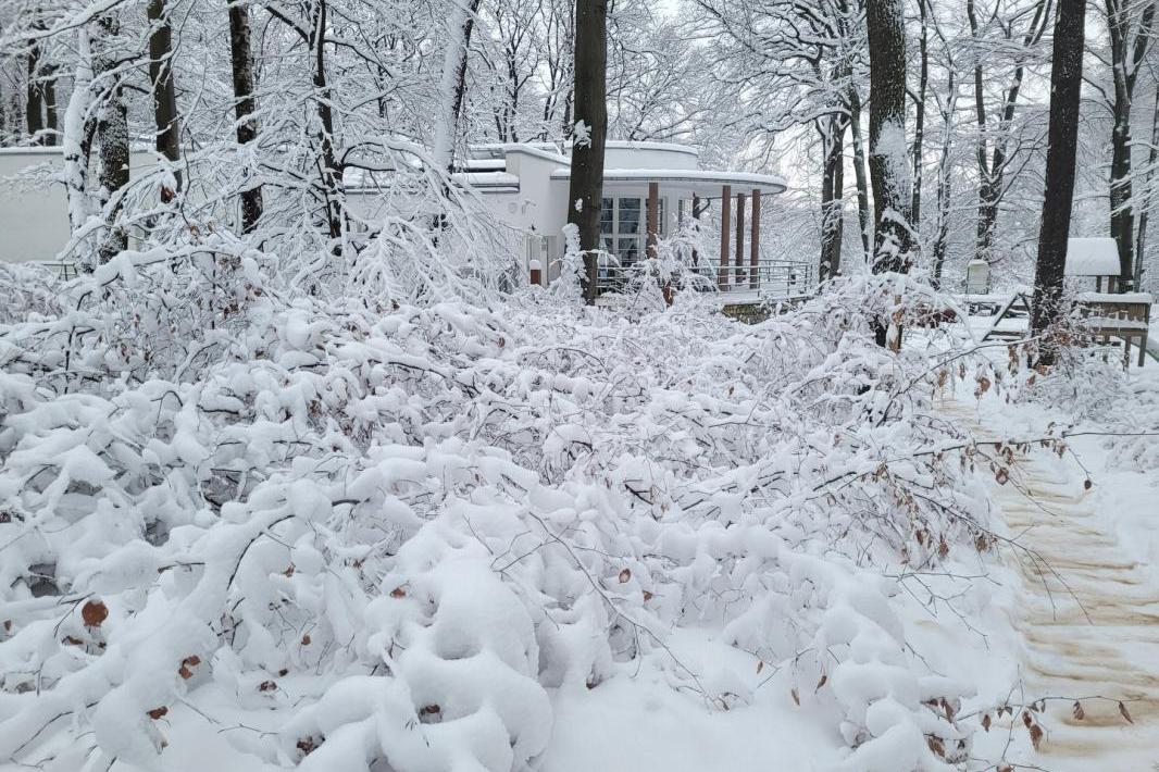 Modernizm i ambient. Duet Cisza w Pawilonie Okocimskim