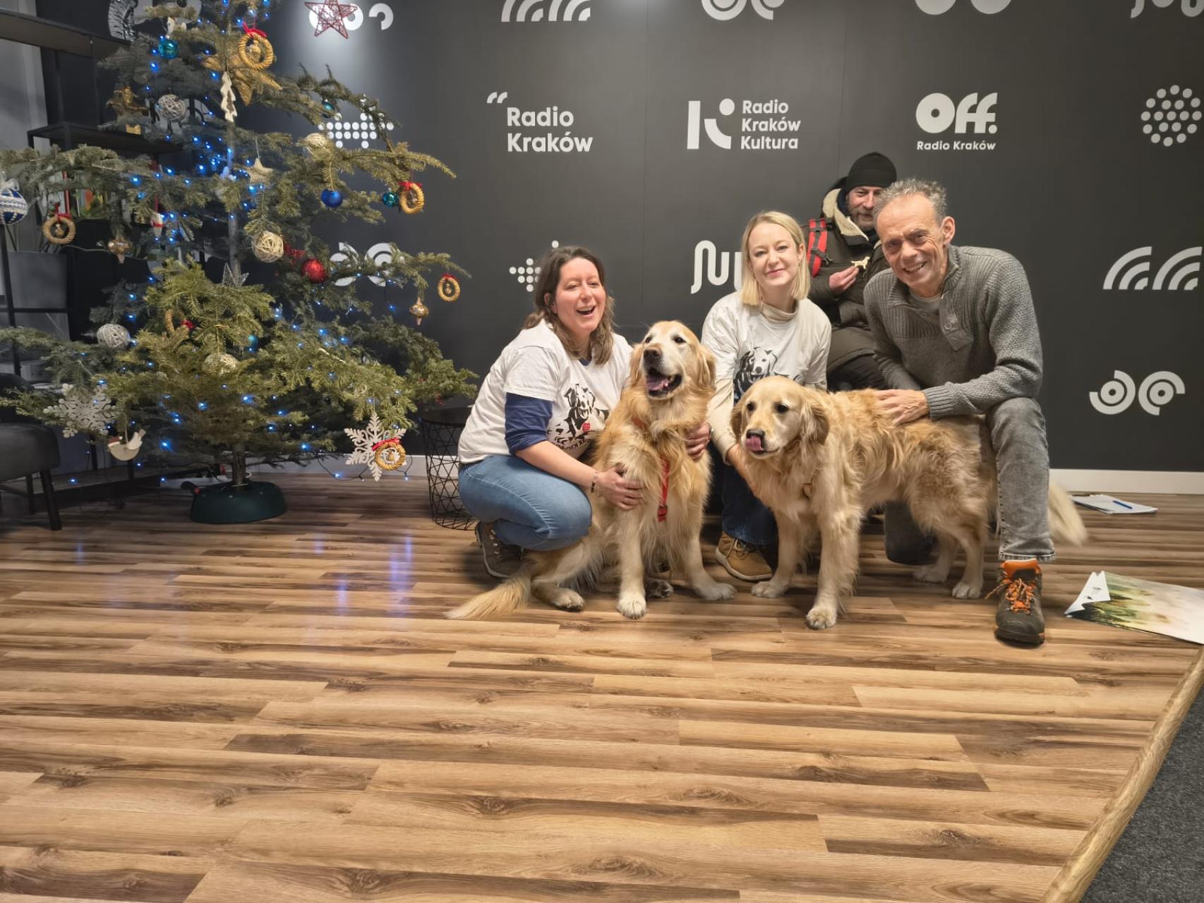 Psie usmiechy, czyli nie tylko goldeny