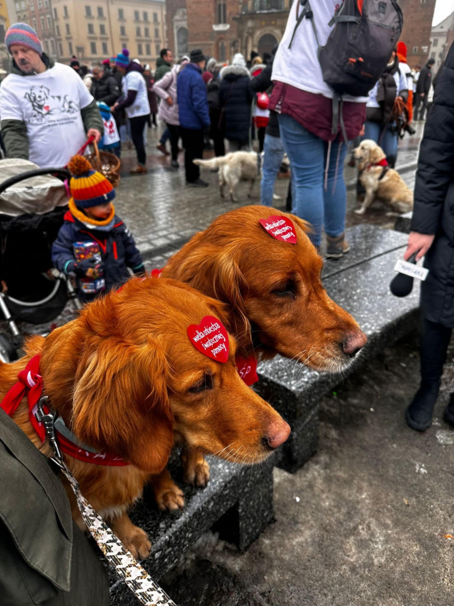 Fot. Elżbieta Raczyńska