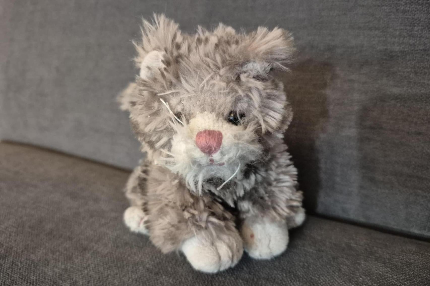 Pluszowy kotek bez homologacji? Nietypowa skarga na motorniczego krakowskiego MPK