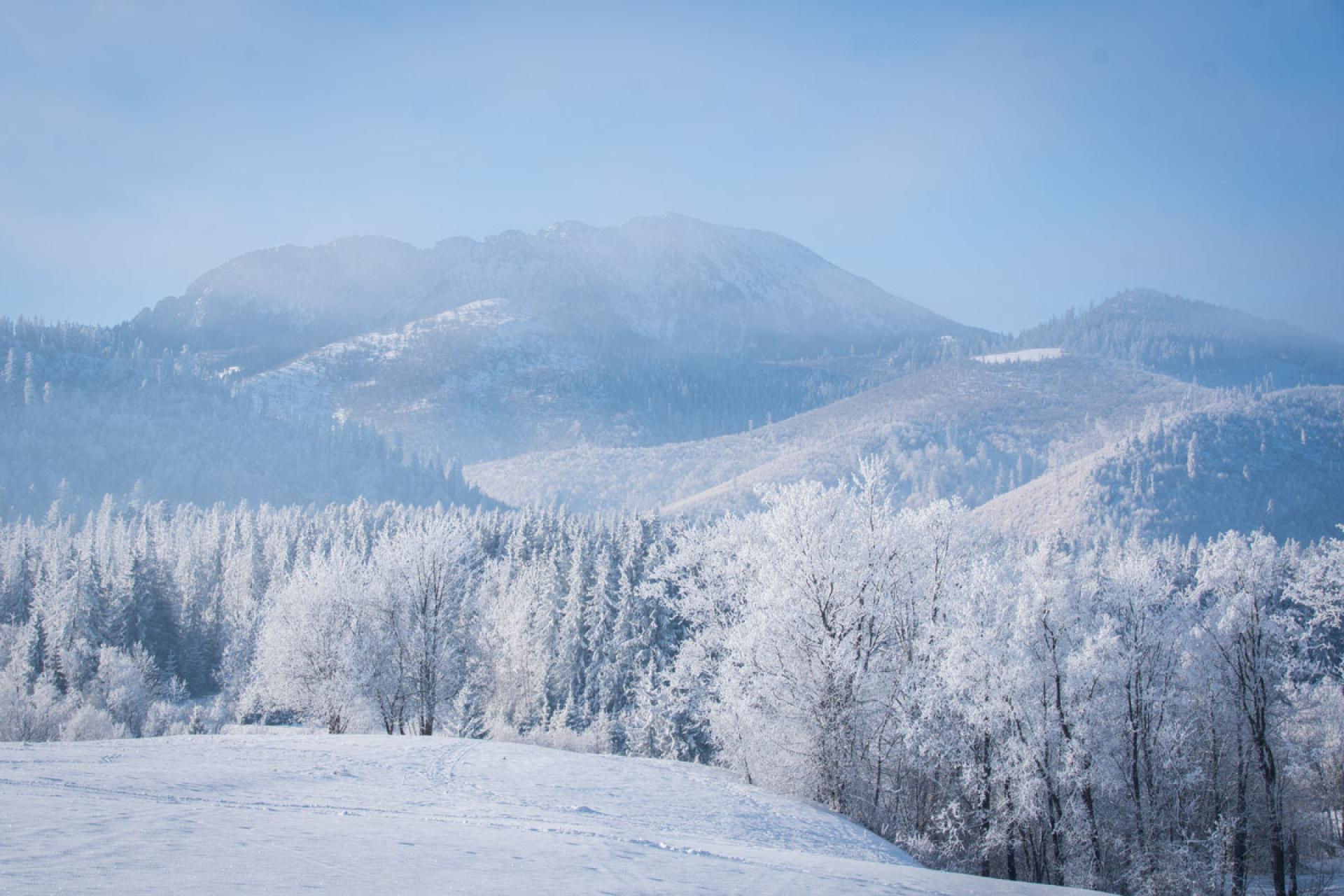 Wzrosło zagrożenie lawinowe w Tatrach. TPN ostrzega turystów