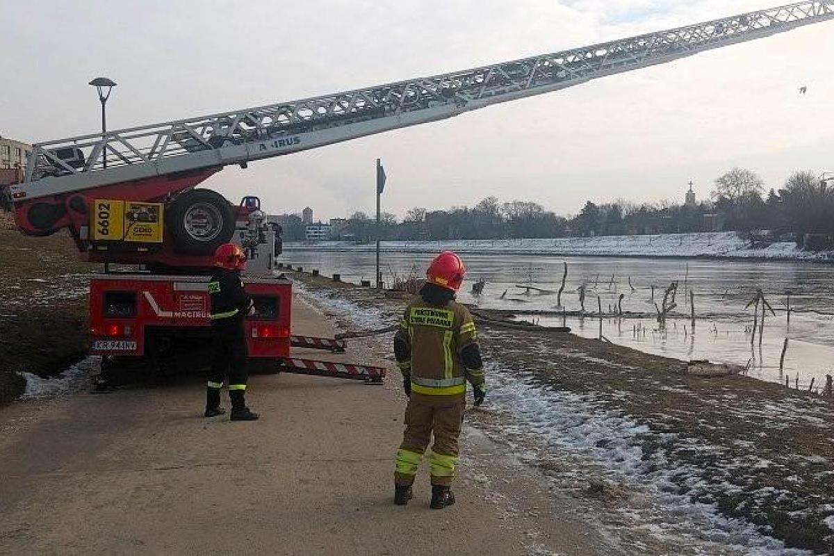 Strażacy ruszyli na pomoc przymarzniętym łabędziom w Krakowie
