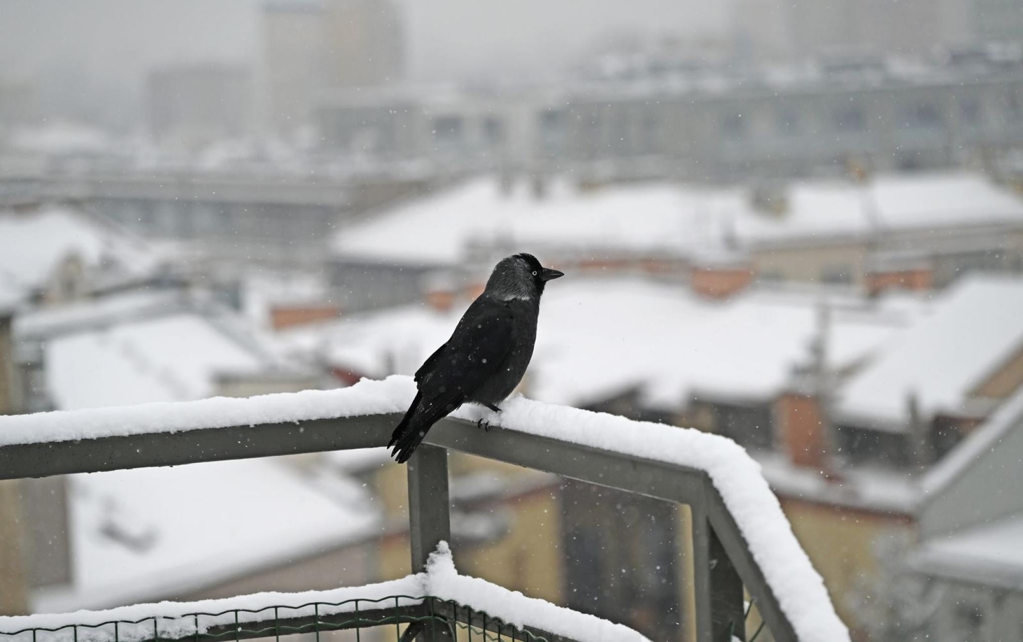 Po krótkim ociepleniu znów zima. Spadek temperatur i śnieg