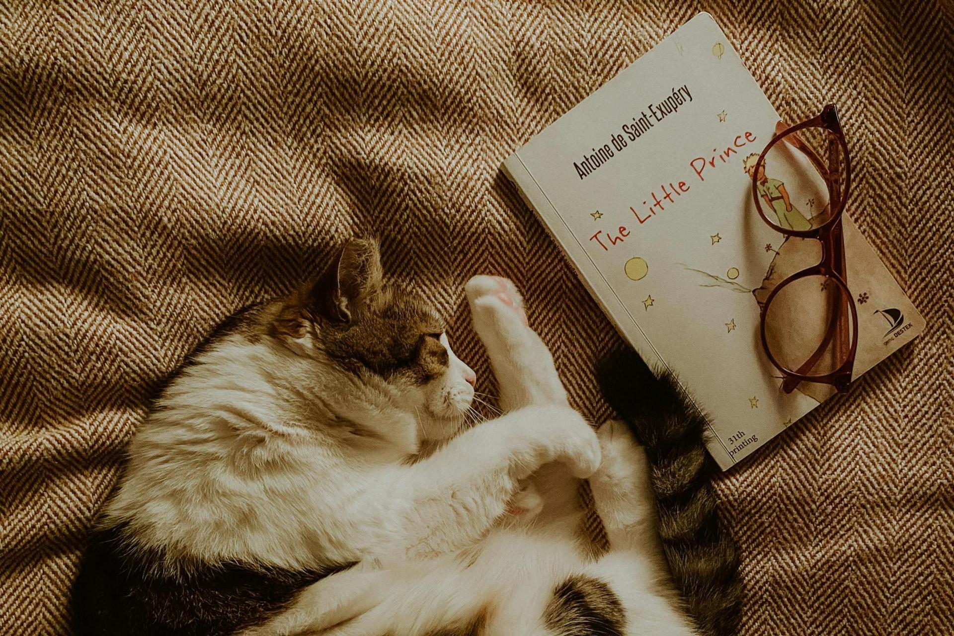 Mały Książę a filozofia. Czego naprawdę uczy nas serce?