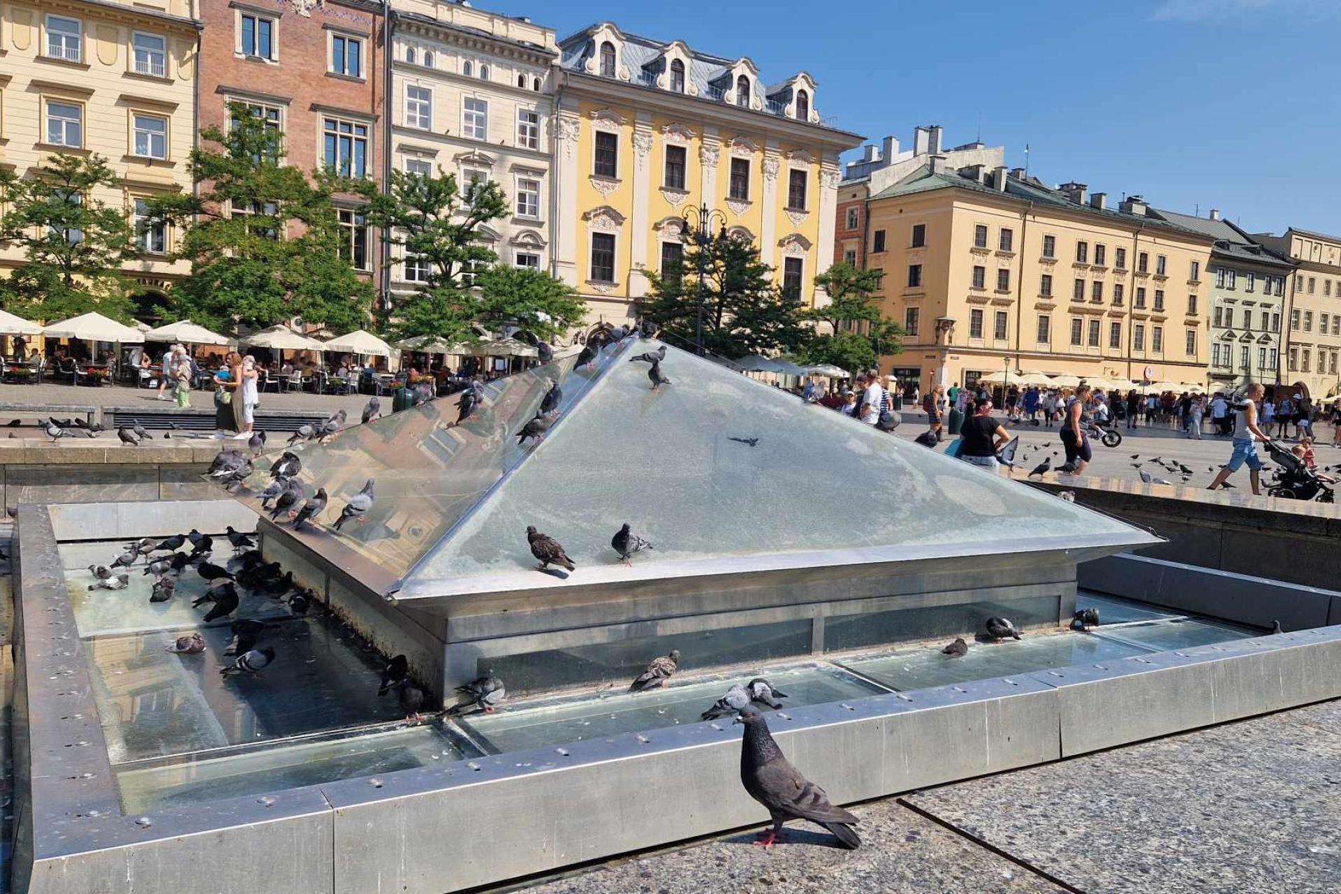 Chcą ratować gołębie ze słynnej fontanny. Jest zgoda miasta