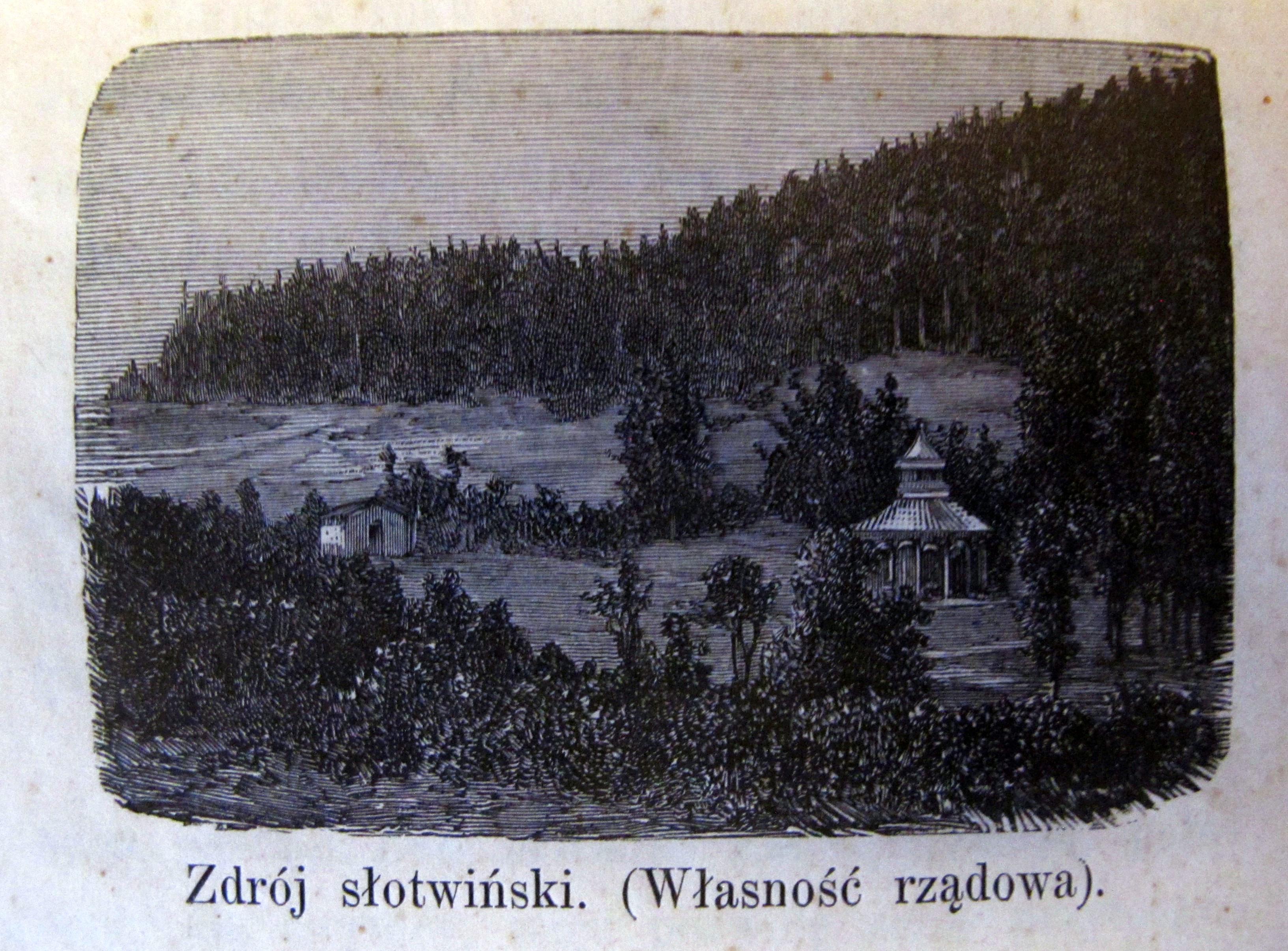 Ilustracja z opracowania Bronisława Babla „Wspomnienia z Krynicy” Nowy Sącz 1896.