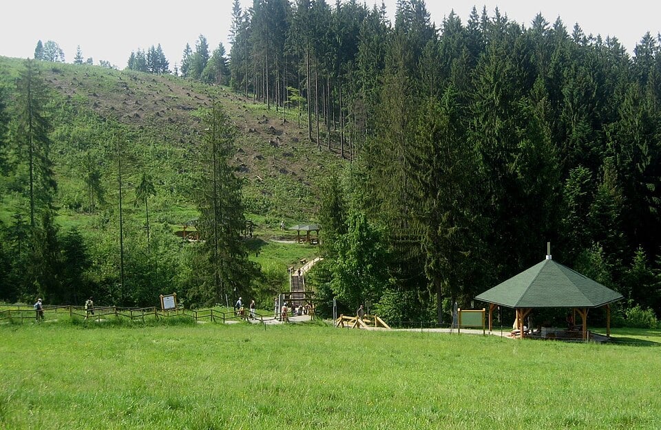 (fot. Ricardo77/Wikipedia)