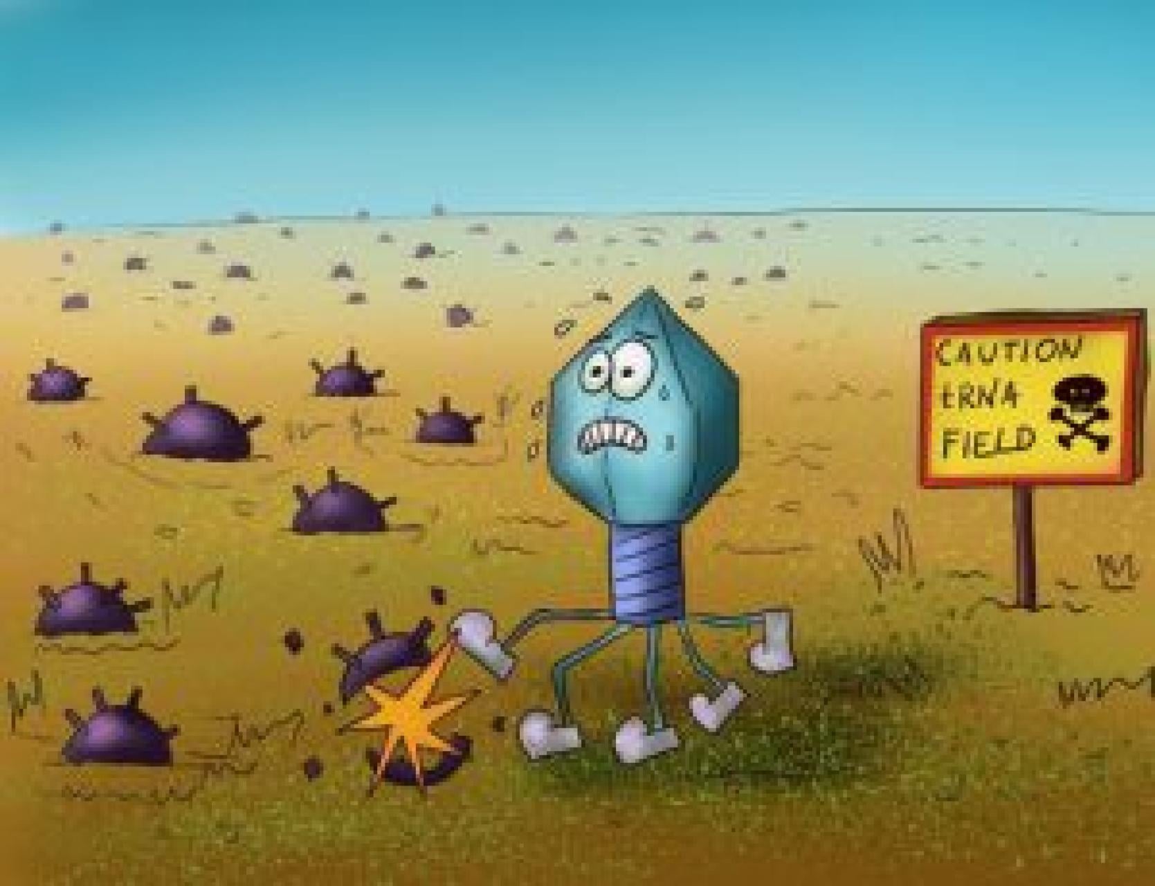 Nowy sposób powstrzymywania infekcji wirusowych