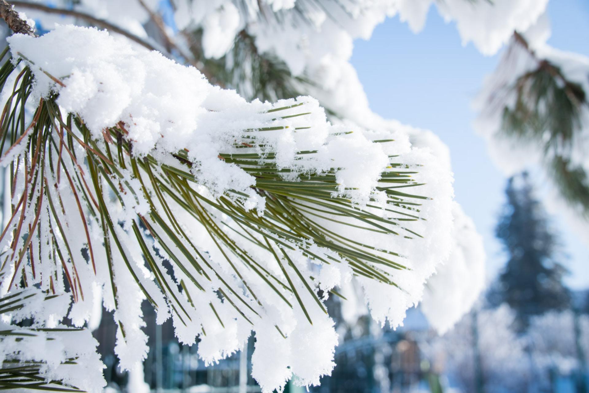 Zimowy wtorek w Małopolsce. W dzień lekki mróz, w nocy spadki temperatur choćby do -6°C