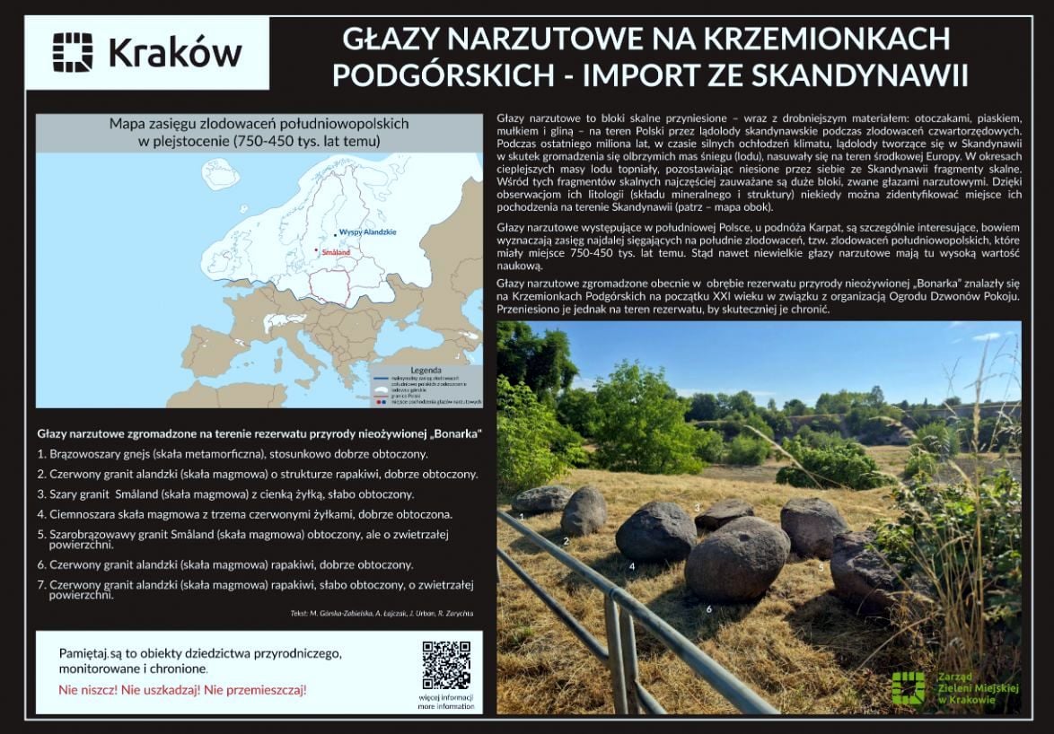 (fot. Paweł Kwapisz)