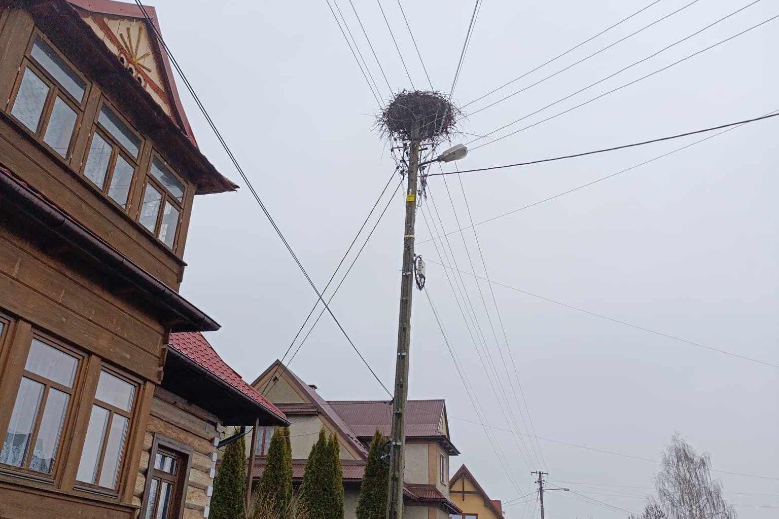 Autor: Kacper Szymusiak, mieszkaniec wsi Załuczne