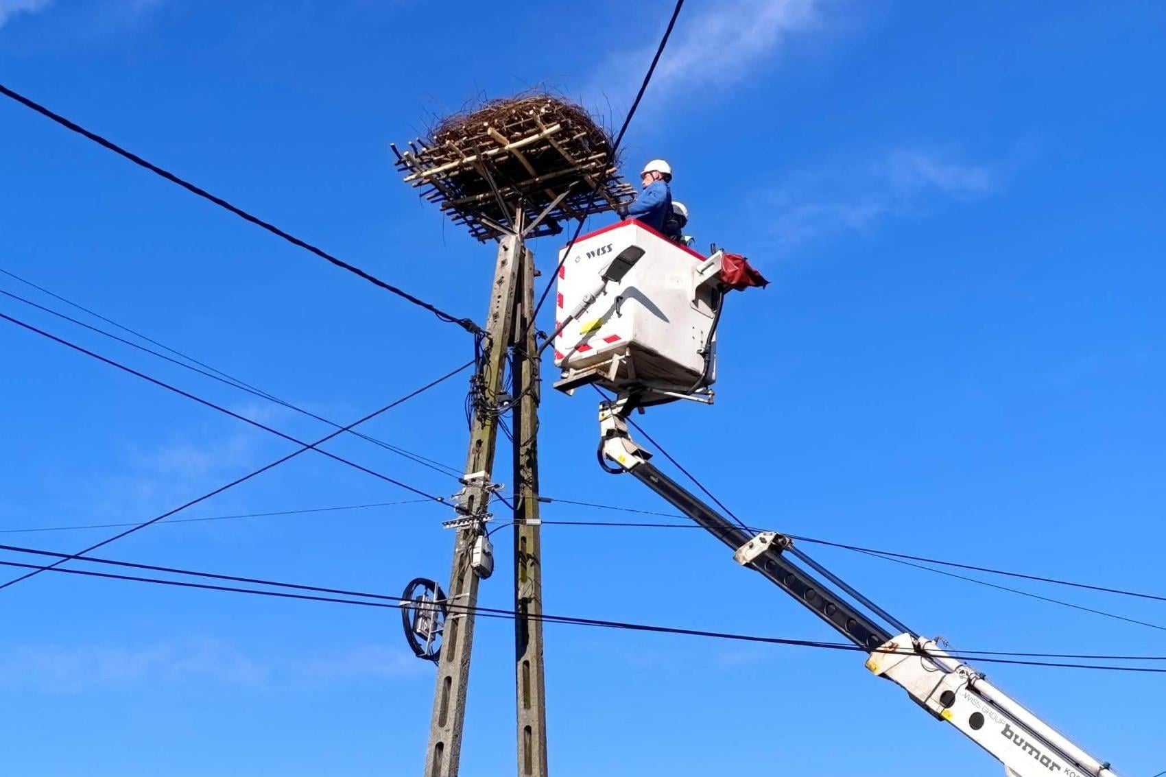 Gniazdo bocianie wróciło na słup energetyczny w Pile Kościeleckiej w gminie Trzebinia