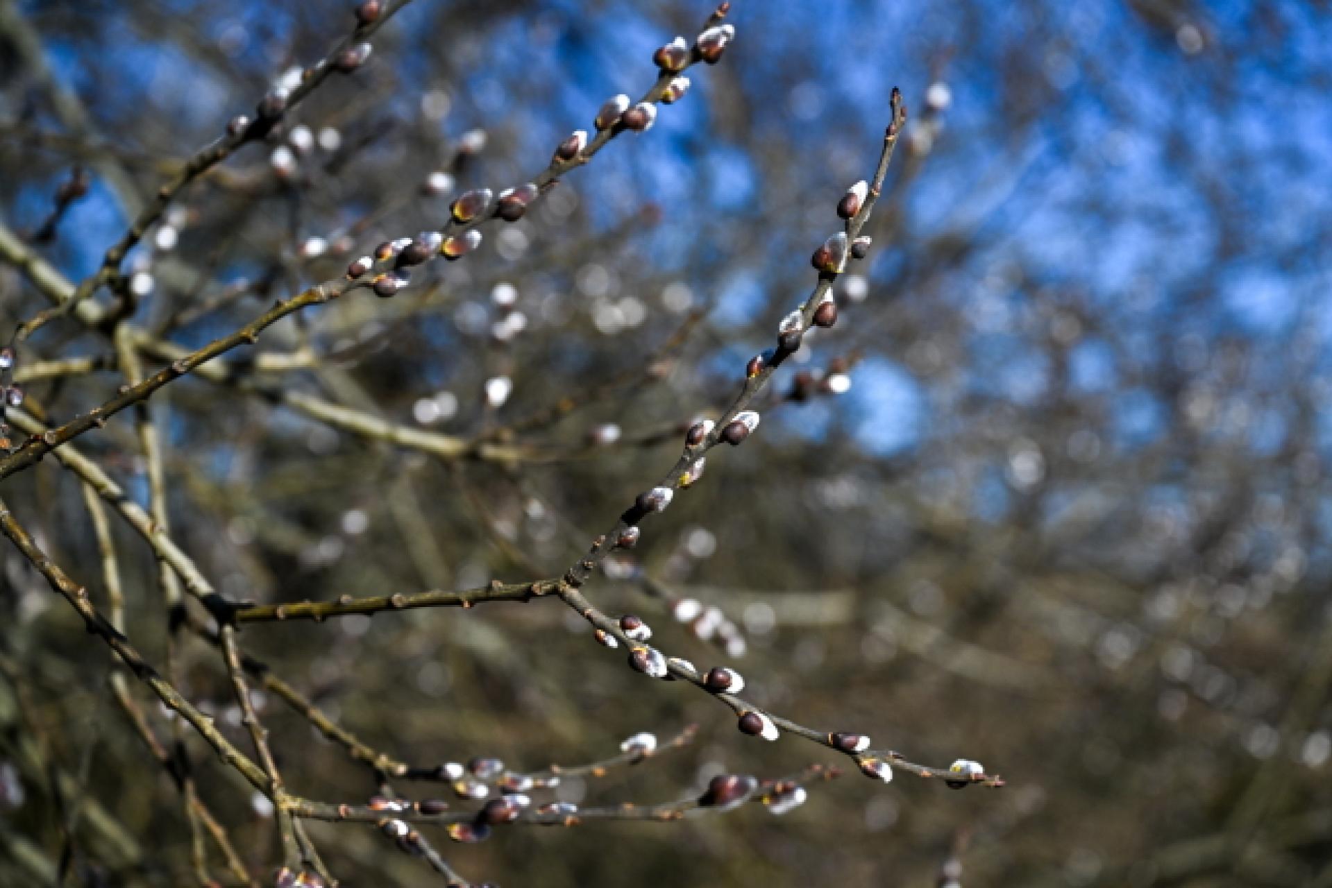 W Małopolsce na przemian chmury i słońce. Opadów nie musimy się dziś obawiać