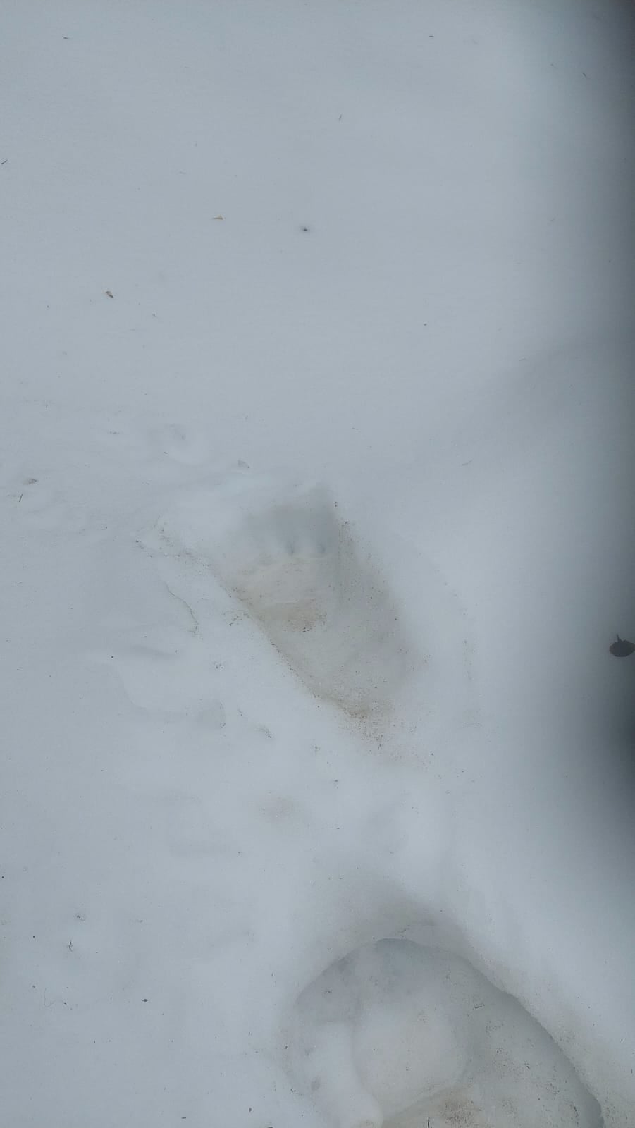 Fot. słuchacz Radia Kraków