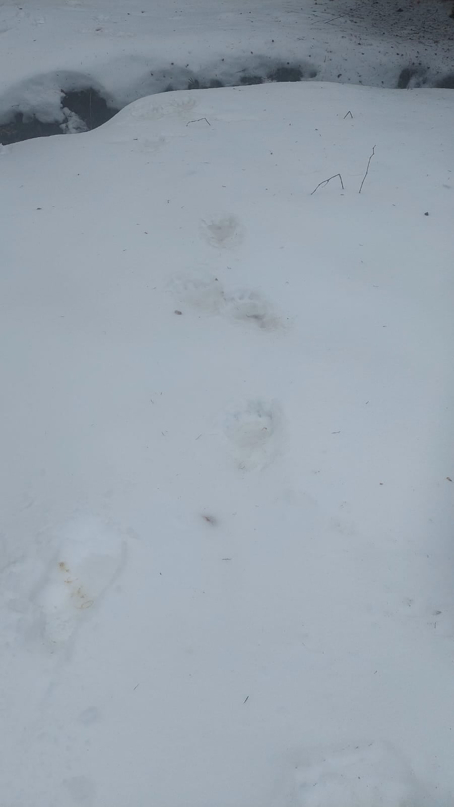 Fot. słuchacz Radia Kraków