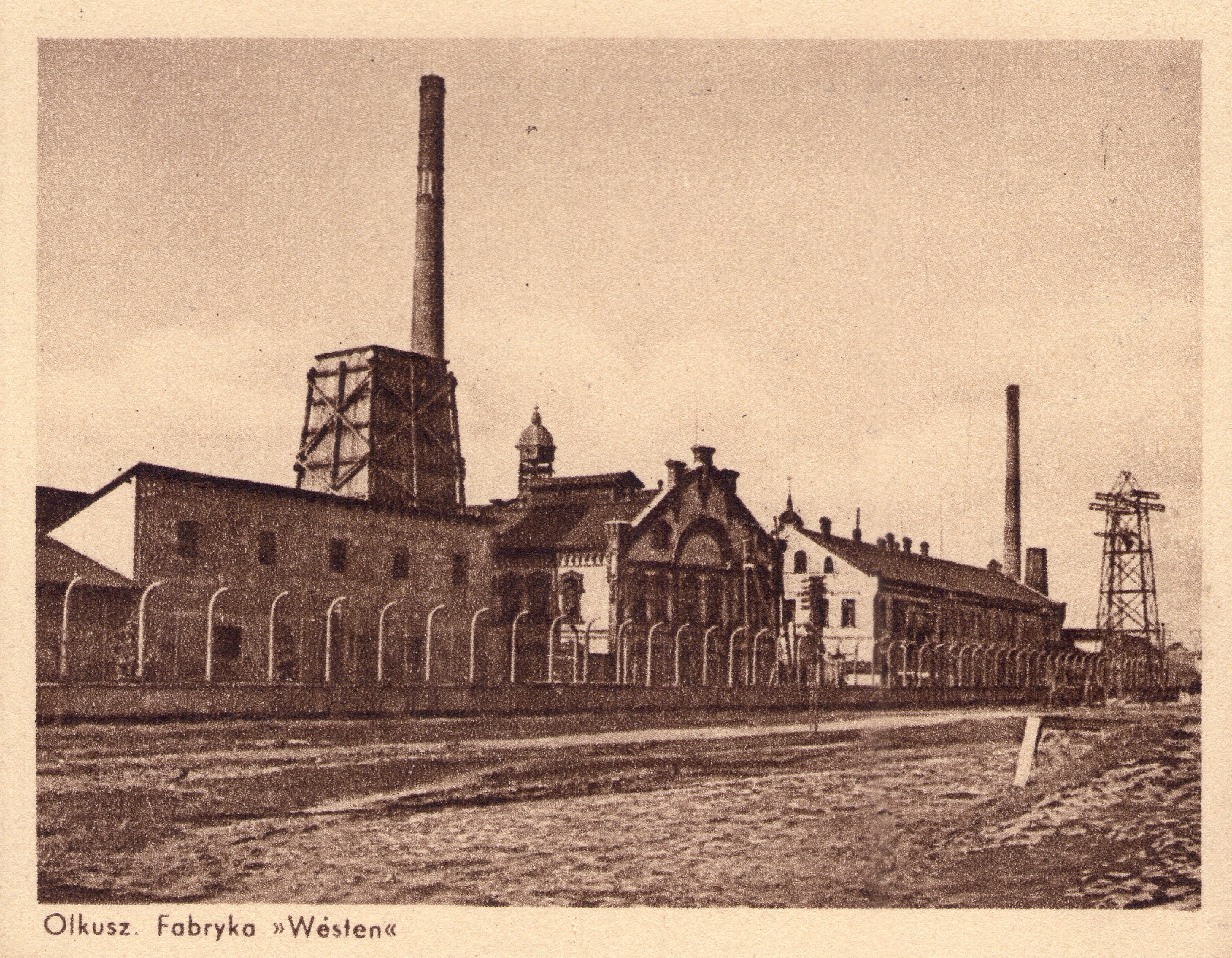 (fot. ze zbiorów Marka Piotrowskiego)