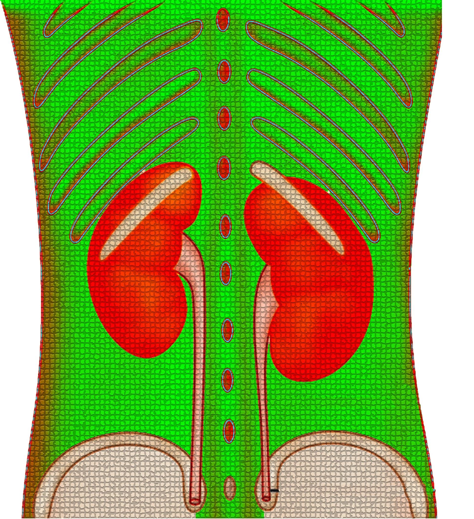 Nerki chorują po cichu. Skąd wiedzieć, iż coś jest nie tak?