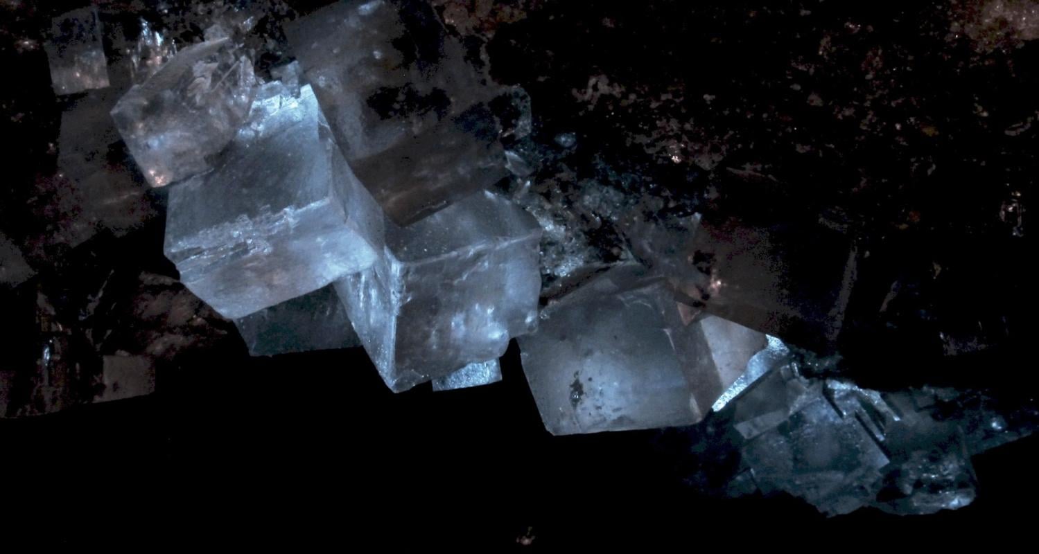 "W kręgu nauki" Audycja z dn. 21.03. 2026 r.