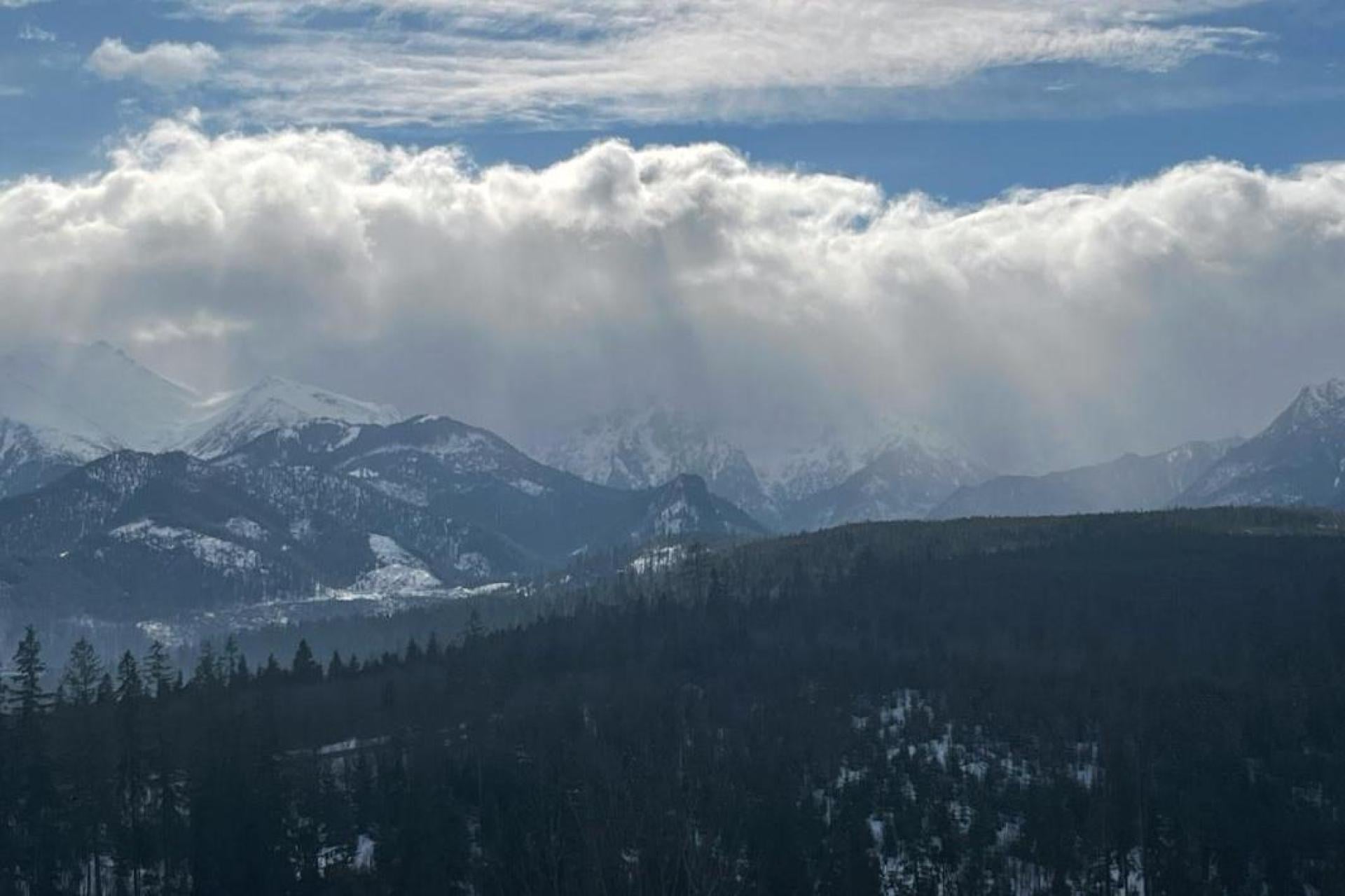 Lis z kanapką, niedźwiedź przy śmietniku. TPN apeluje do turystów