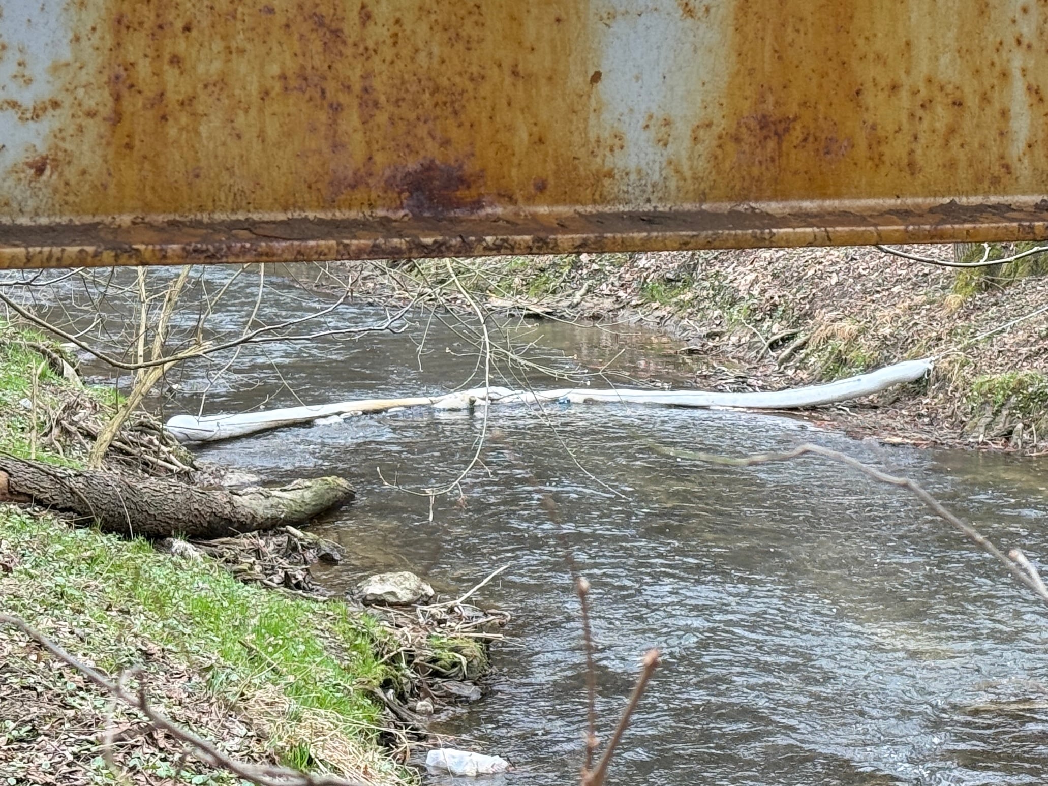 Fot. Emilia Wietecha