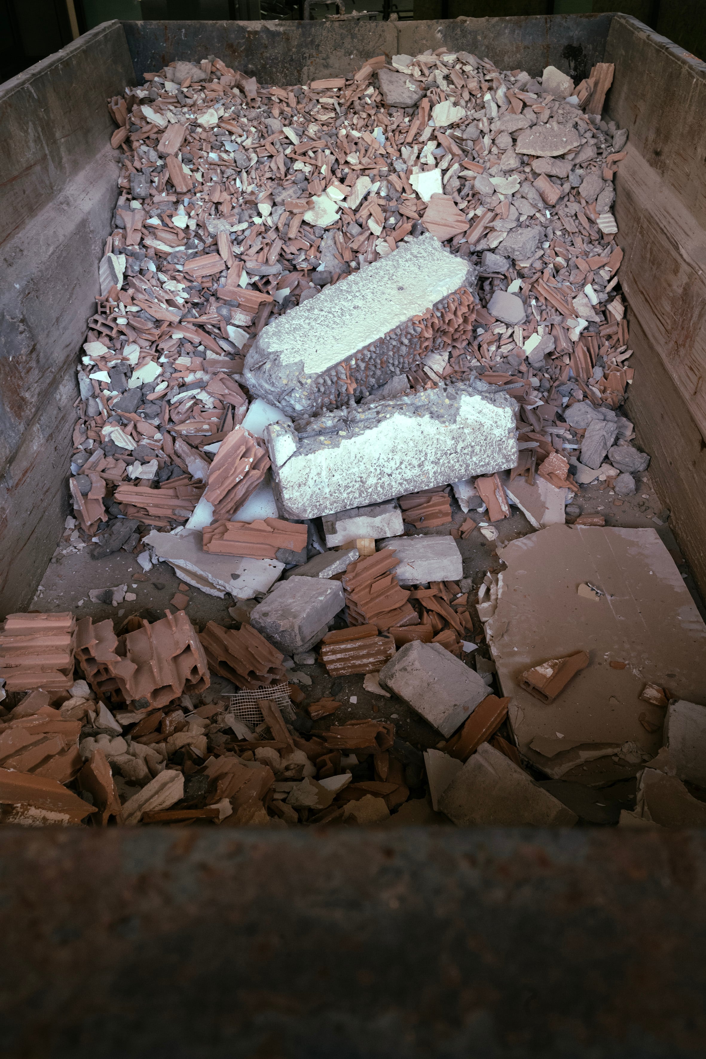 Fot. Dominik Stanisławski