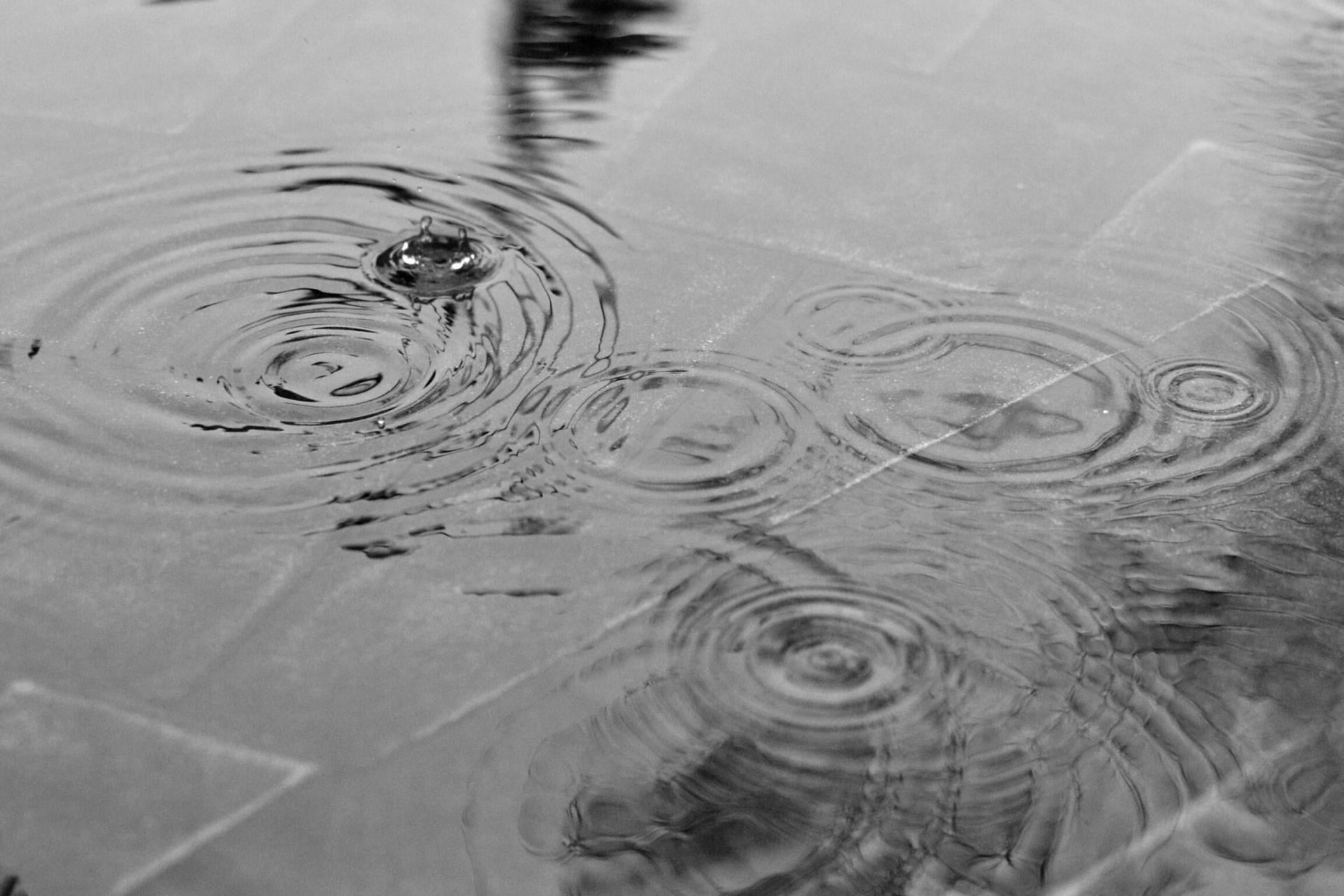 Pochmurna i deszczowa Niedziela Palmowa