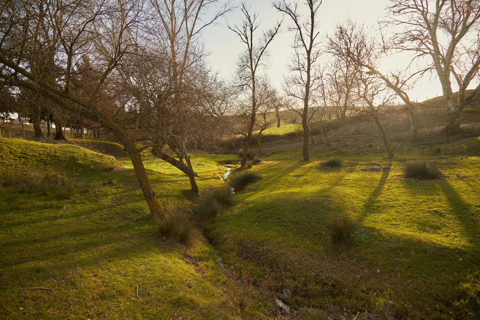 Wielkanoc w Małopolsce cieplejsza? Są na to spore szanse