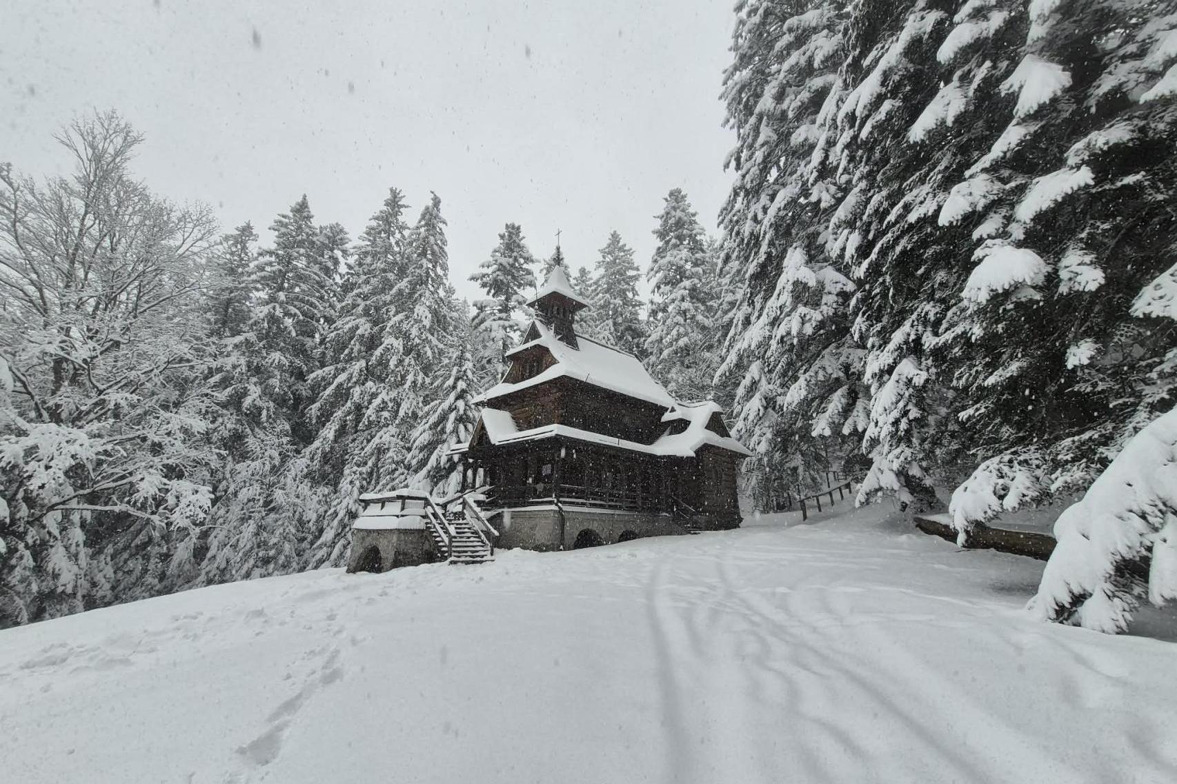 Śnieżny paraliż na Podhalu. Łamią się drzewa, rośnie zagrożenie lawinowe