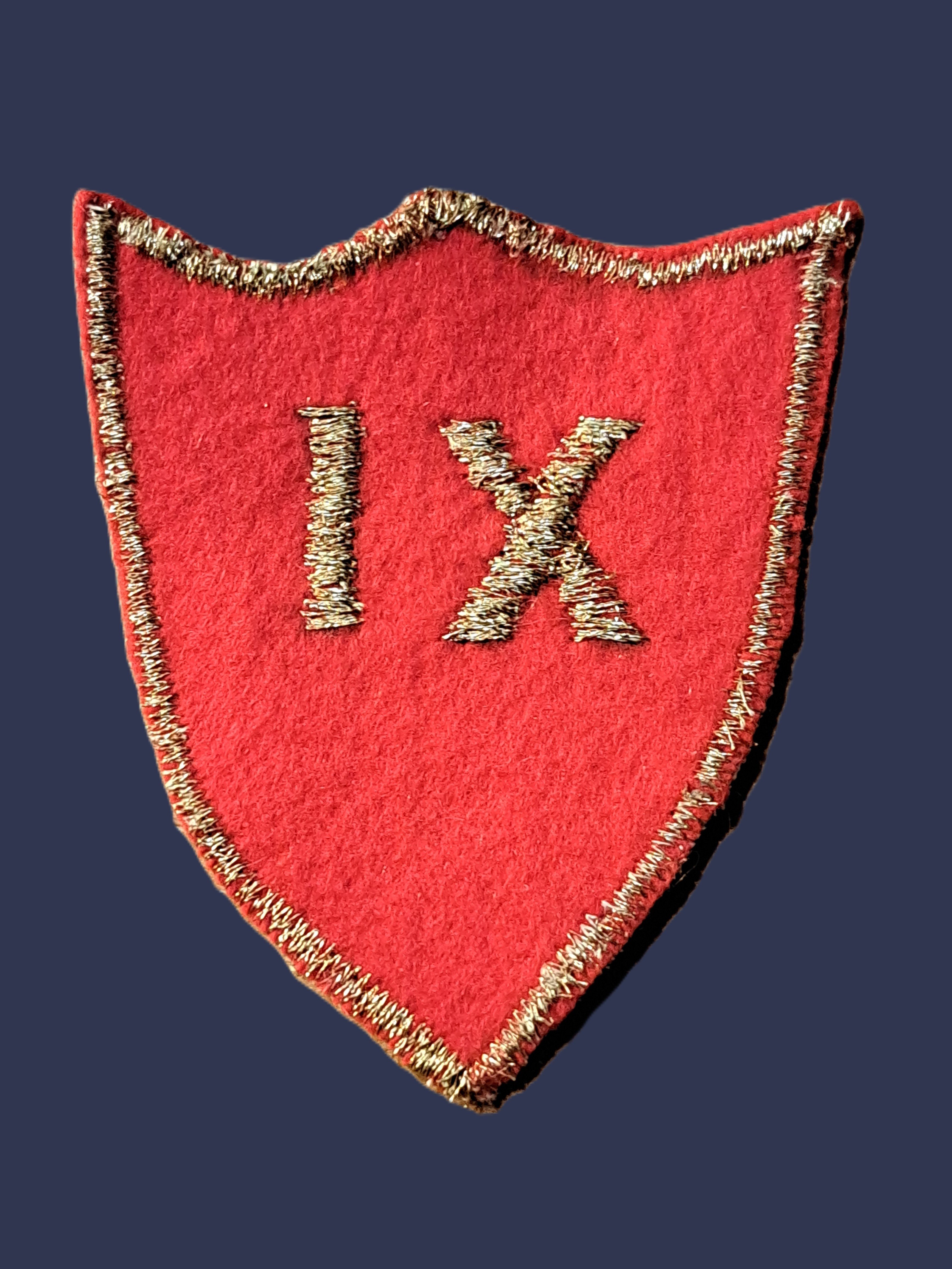 Odtworzona tarcza IX Liceum im. Józefy Joteyko w Krakowie. Ze zbiorów prof. Anny Nizegorodcew