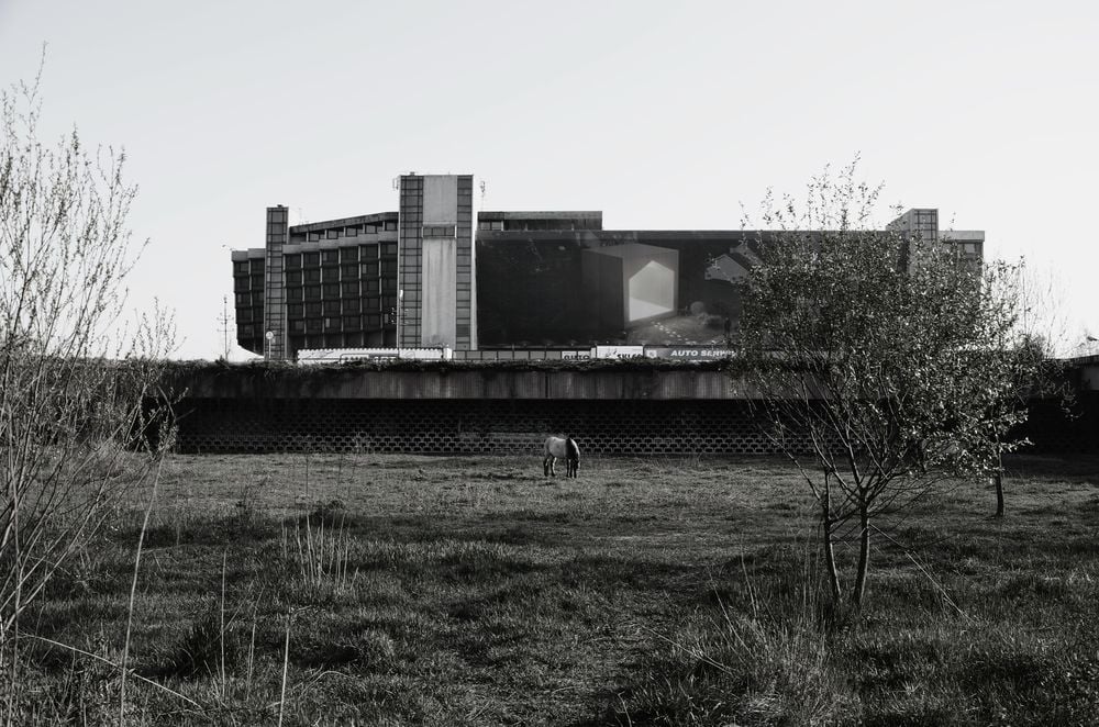 Fot. Krzysztof Uchański. Dzięki uprzejmości Gościa programu