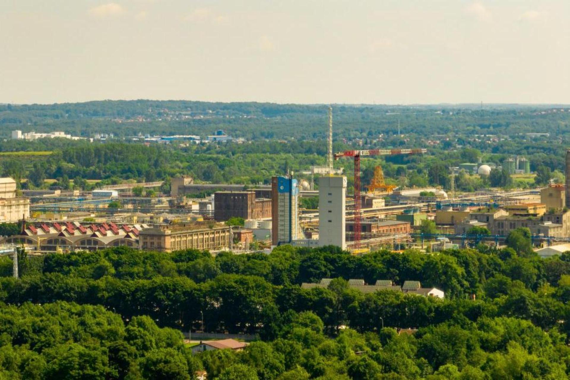 Zamieszanie wokół Azotów. Prezes tłumaczy się po słowach o Tarnowie