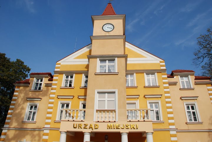 Dębica (fot. ZePo2/Wikipedia)