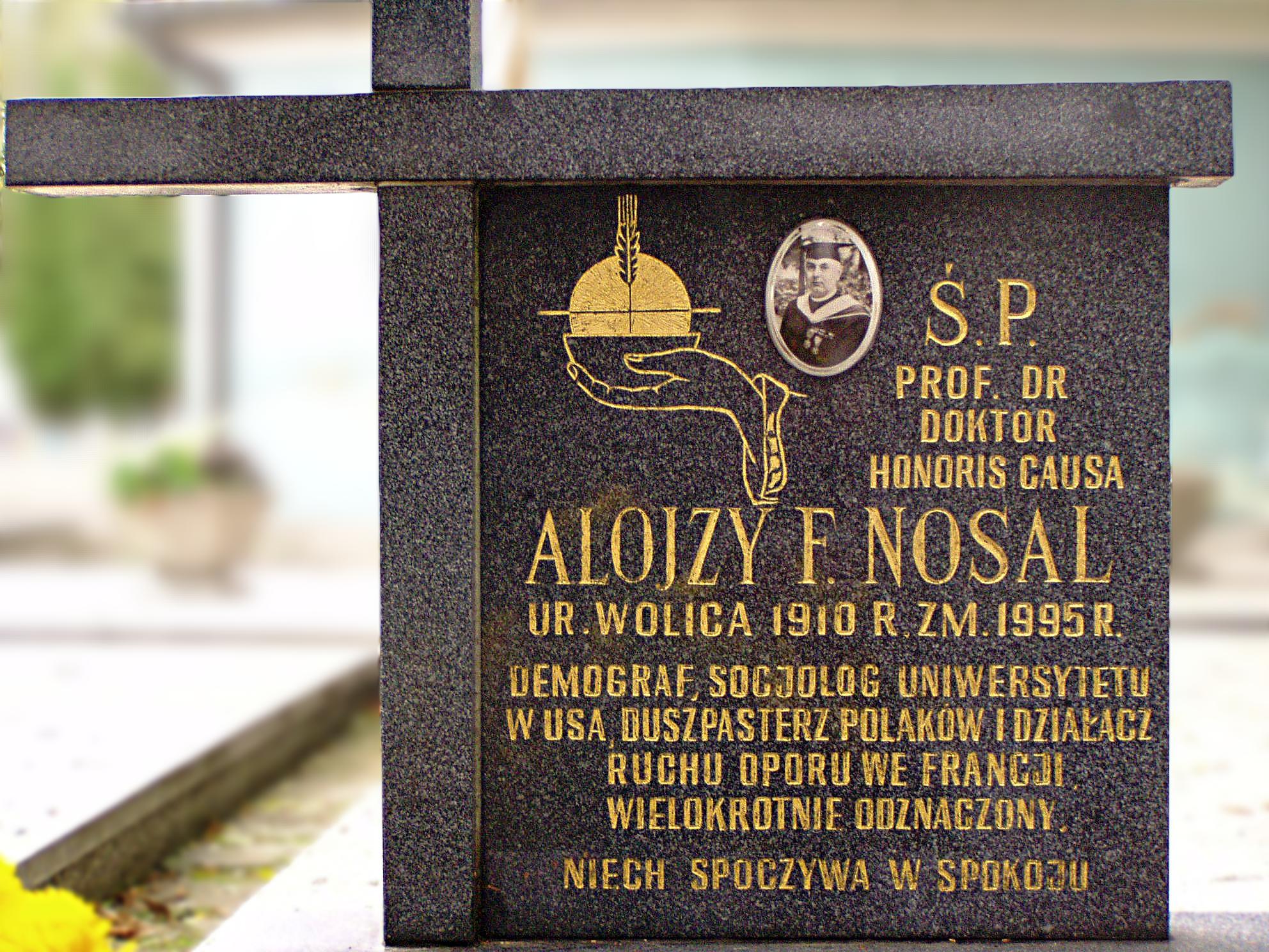 Tablica nagrobna – Stary Cmentarz w Dębicy. (fot. Zbigniew Drzymała)