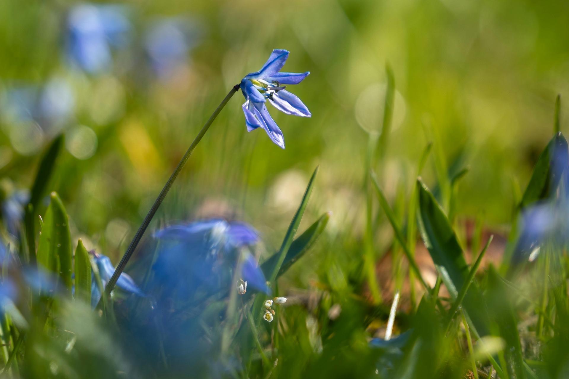 Zmienna pogoda w świąteczny weekend; w Niedzielę Wielkanocną choćby 21 st. C