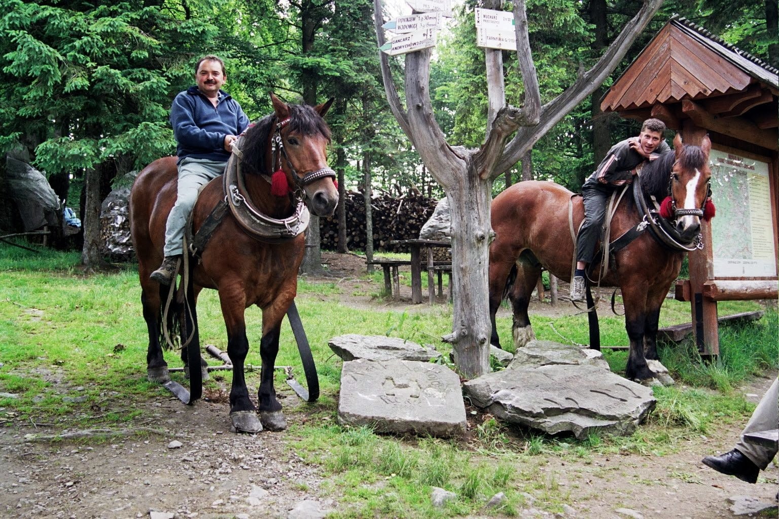 (fot. Tomasz Guzdek)