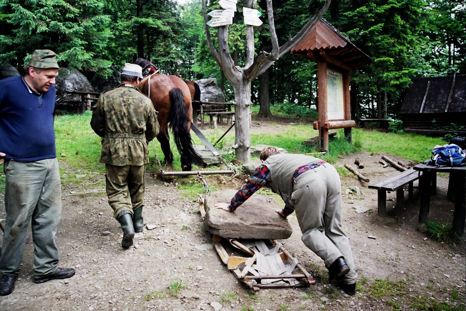 (fot. Tomasz Guzdek) 