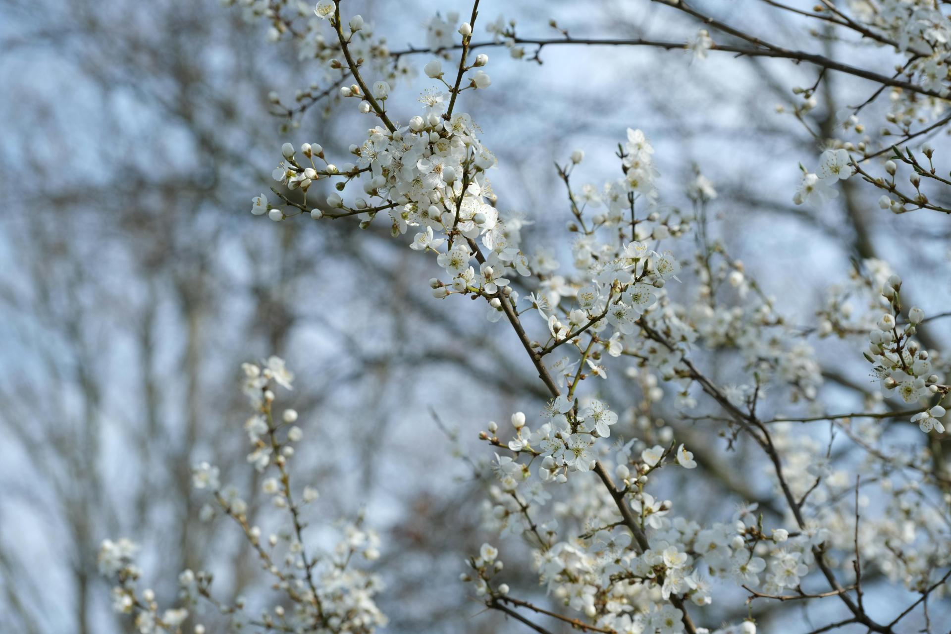 Chłodny piątek w Małopolsce z przelotnymi opadami