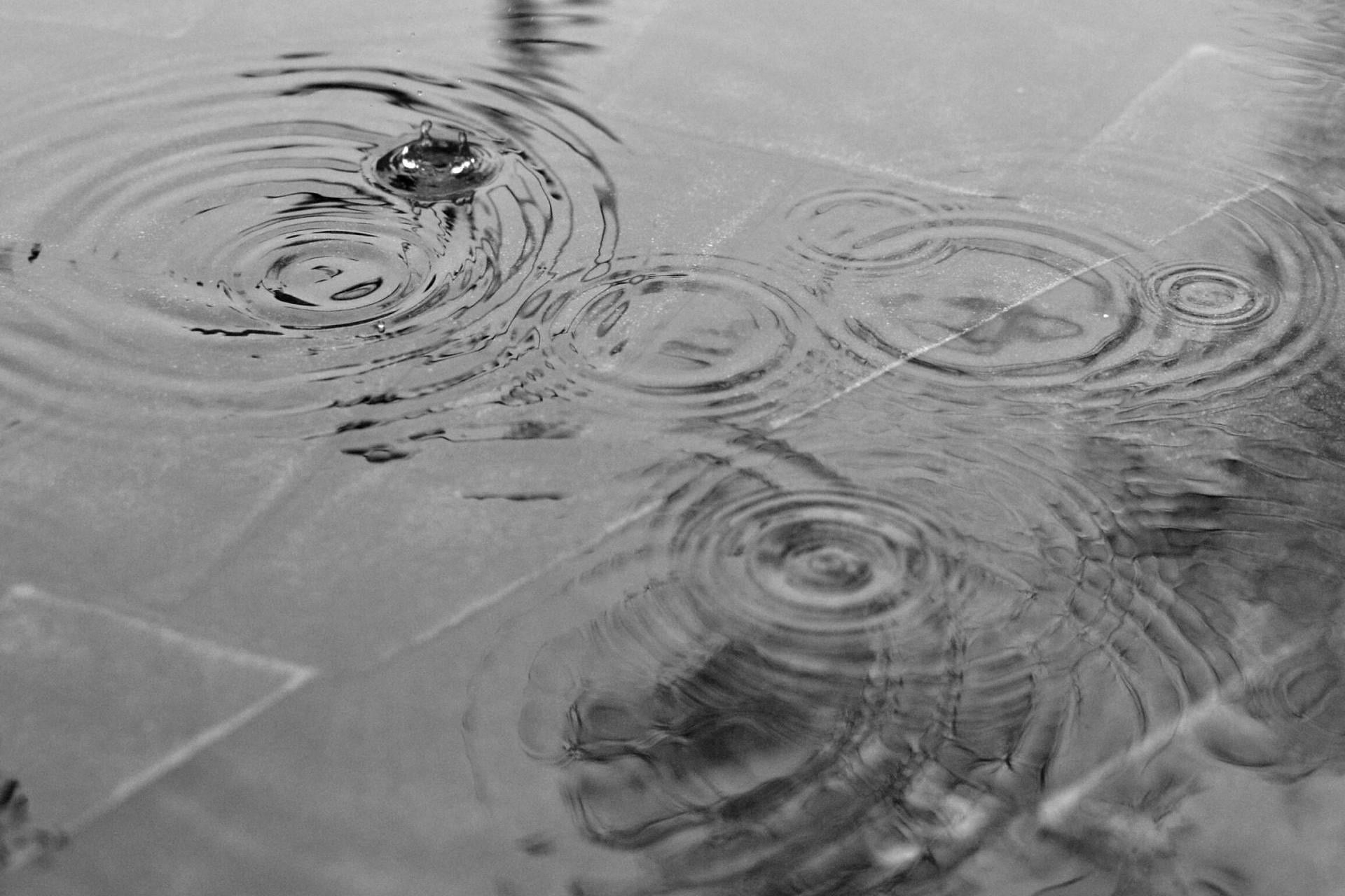 Ciepły, choć deszczowy czwartek w Małopolsce. Noc nie przyniesie poprawy pogody