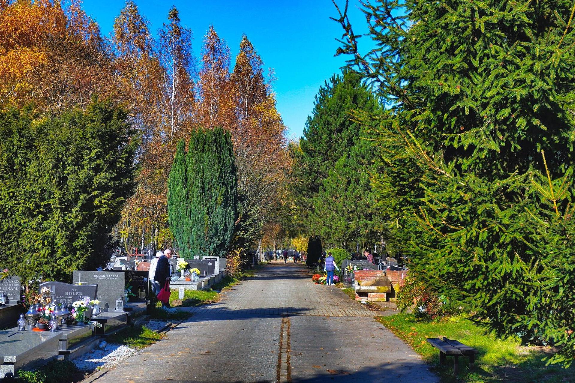 Wstydliwy problem krakowskiego cmentarza. Niepełnosprawni mają utrudniony dostęp do toalet