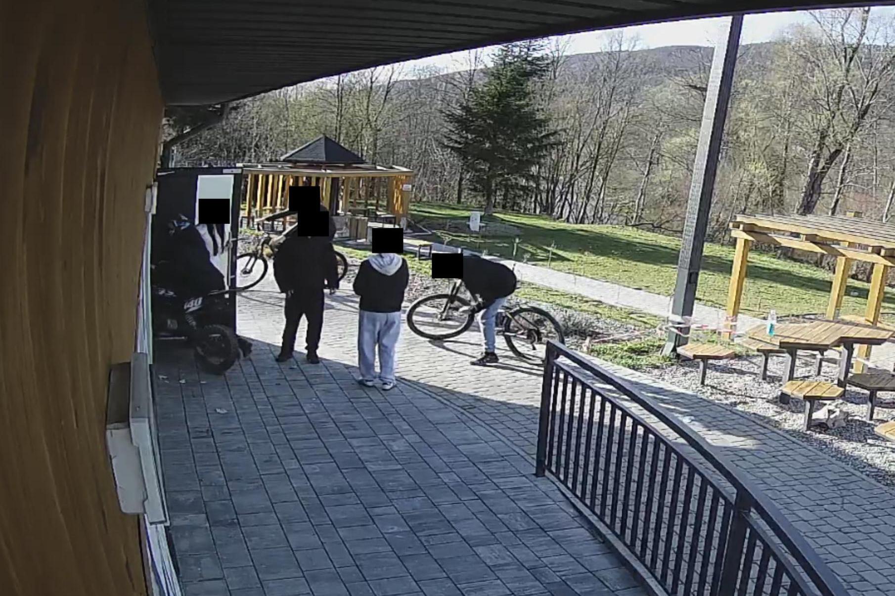 Wandale niszczą Łabową. Straty w parku i na przystankach