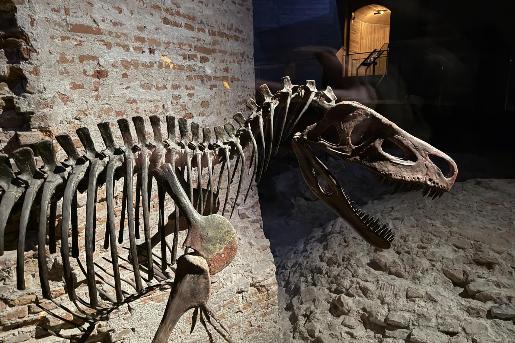 Smok wraca na Wawel. Nowa trasa zwiedzania od weekendu