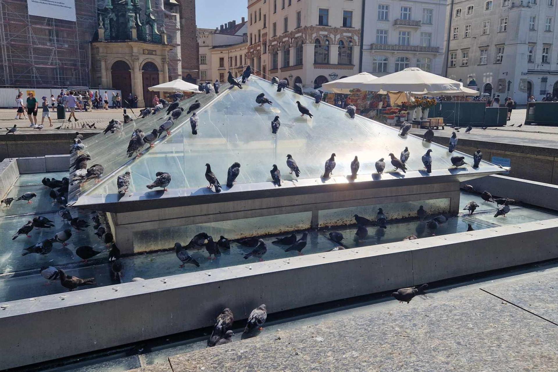 "Byle woda w fontannie szumiała". Kraków nie chce architektonicznych fajerwerków na Rynku Głównym
