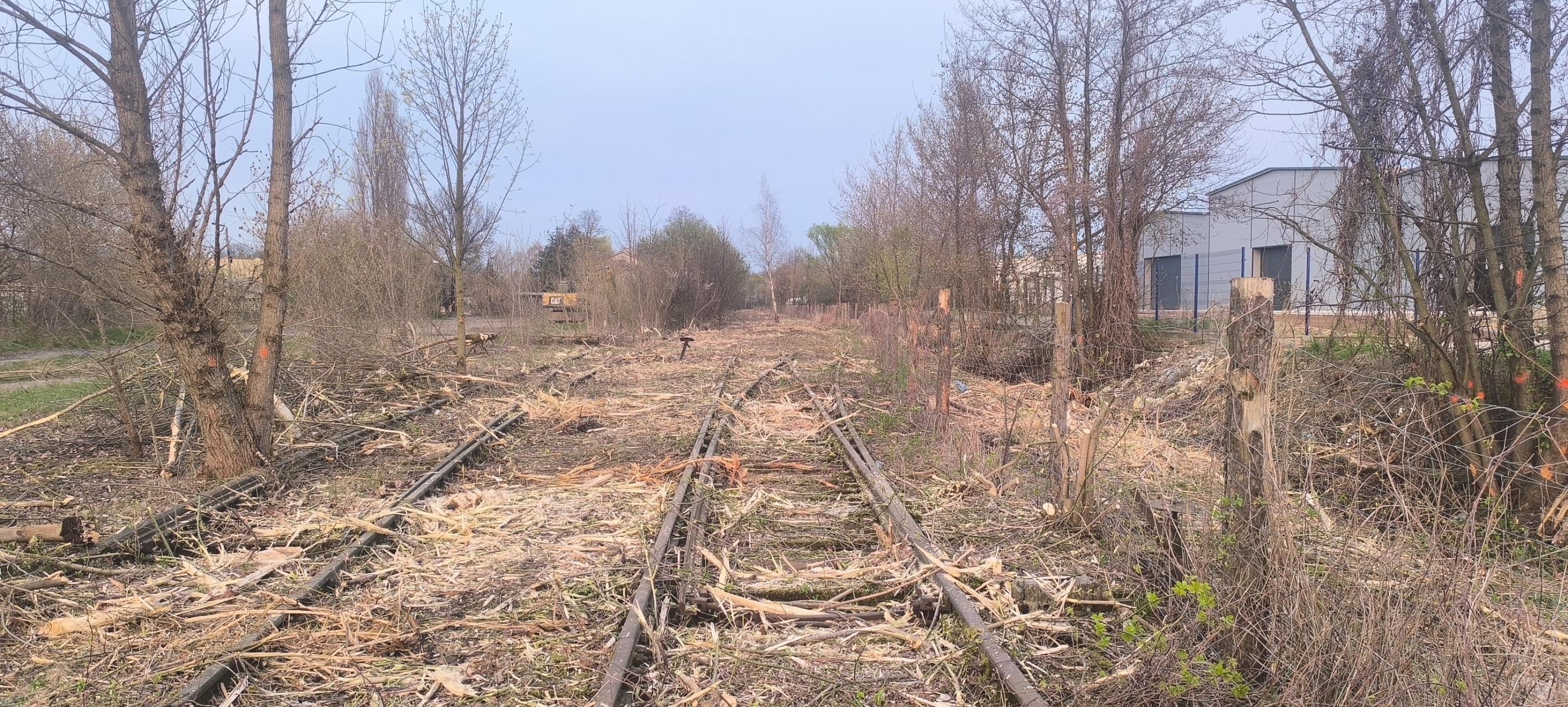 Kosiniak-Kamysz: Szczucinka powinna zostać przedłużona do Buska-Zdroju